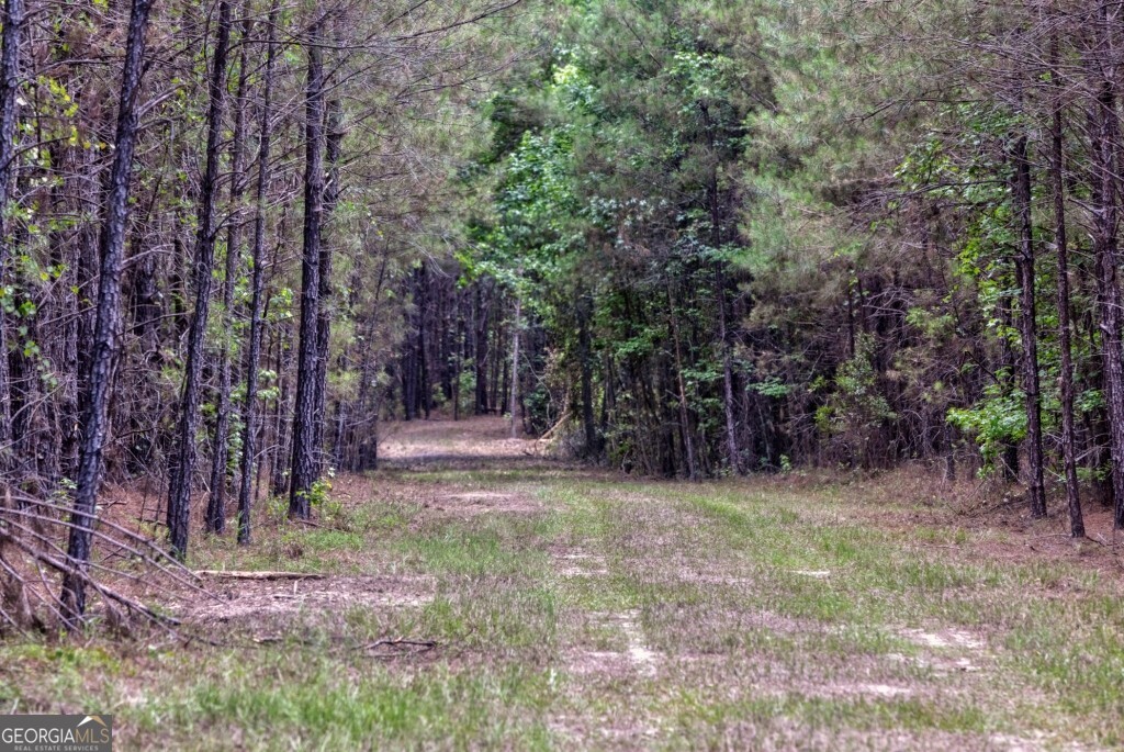 0 Highway 204 & Carlos Cowart Road Pembroke, GA 31321 - Photo 47 of 47