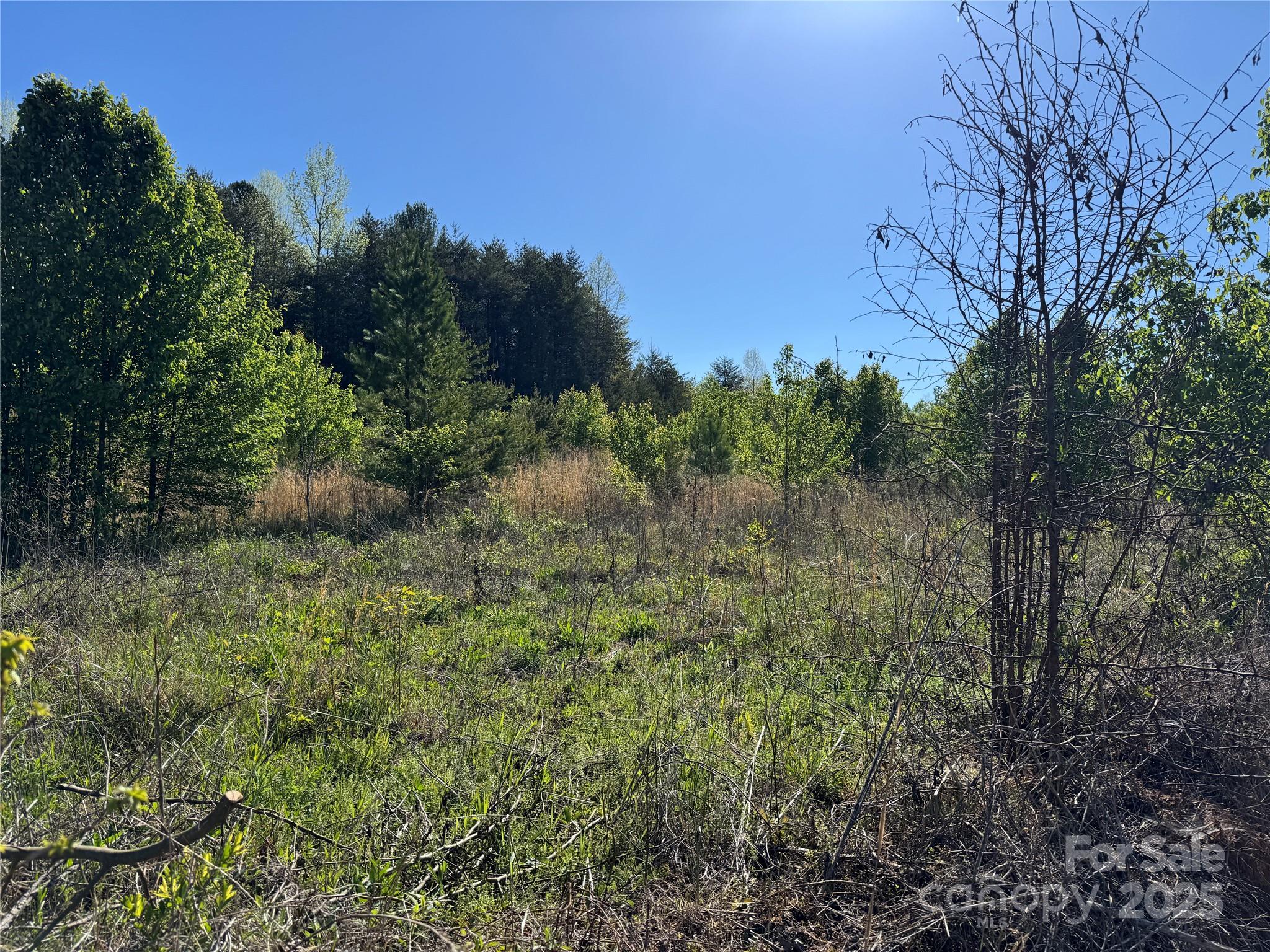 0 Jr Tallent Road, Unit A Morganton, NC 28655 - Photo 3 of 5 Gallery Image 3