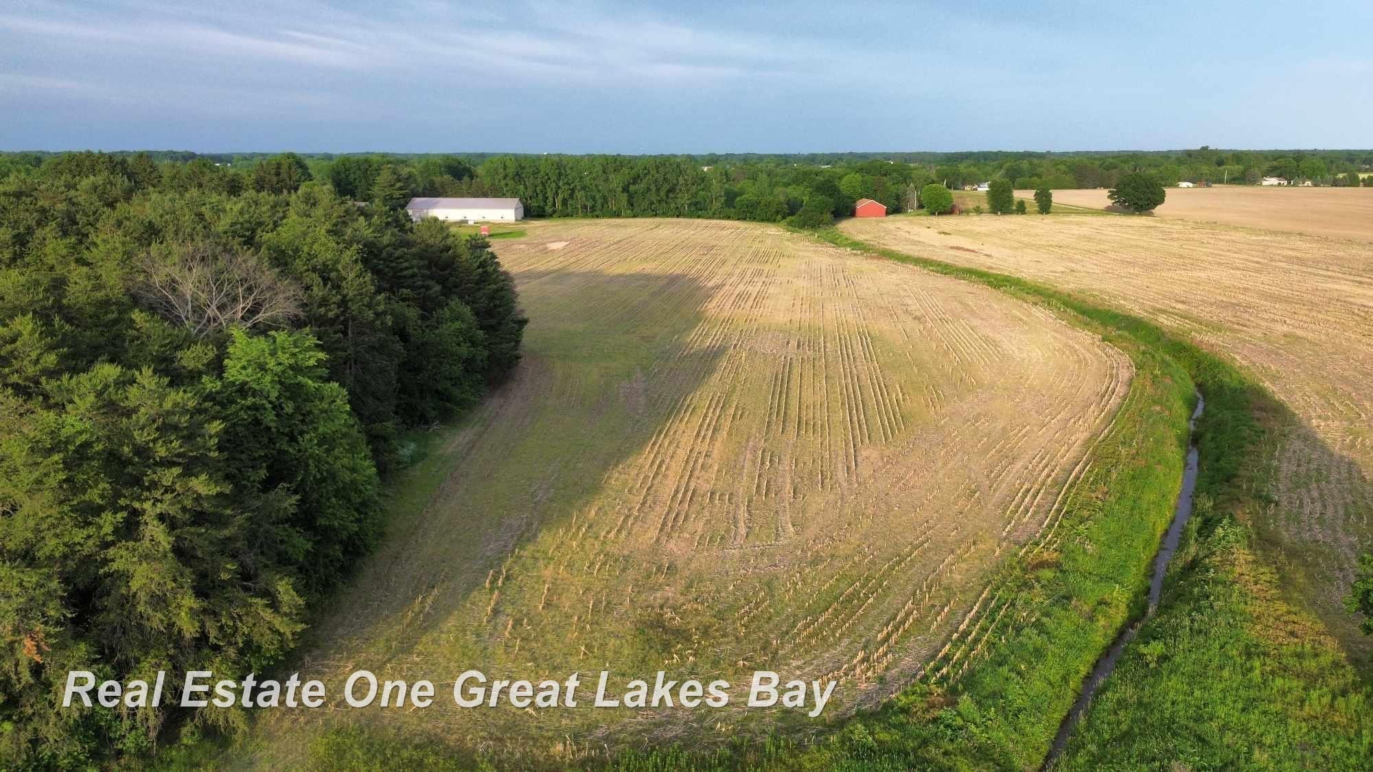 11299 Dice Road Freeland, MI 48623 - Photo 15 of 16