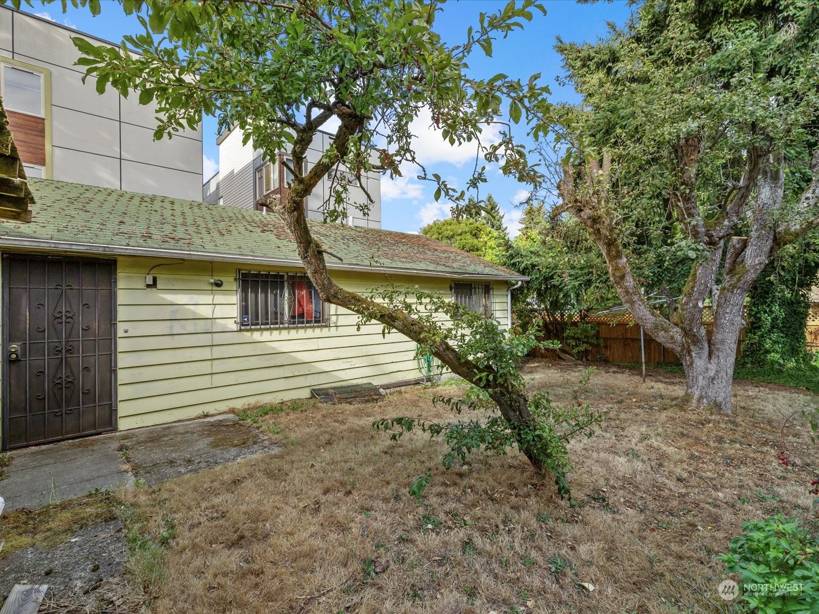8832 Interlake Avenue North Seattle, WA 98103 - Photo 21 of 29 a view of a house with a tree