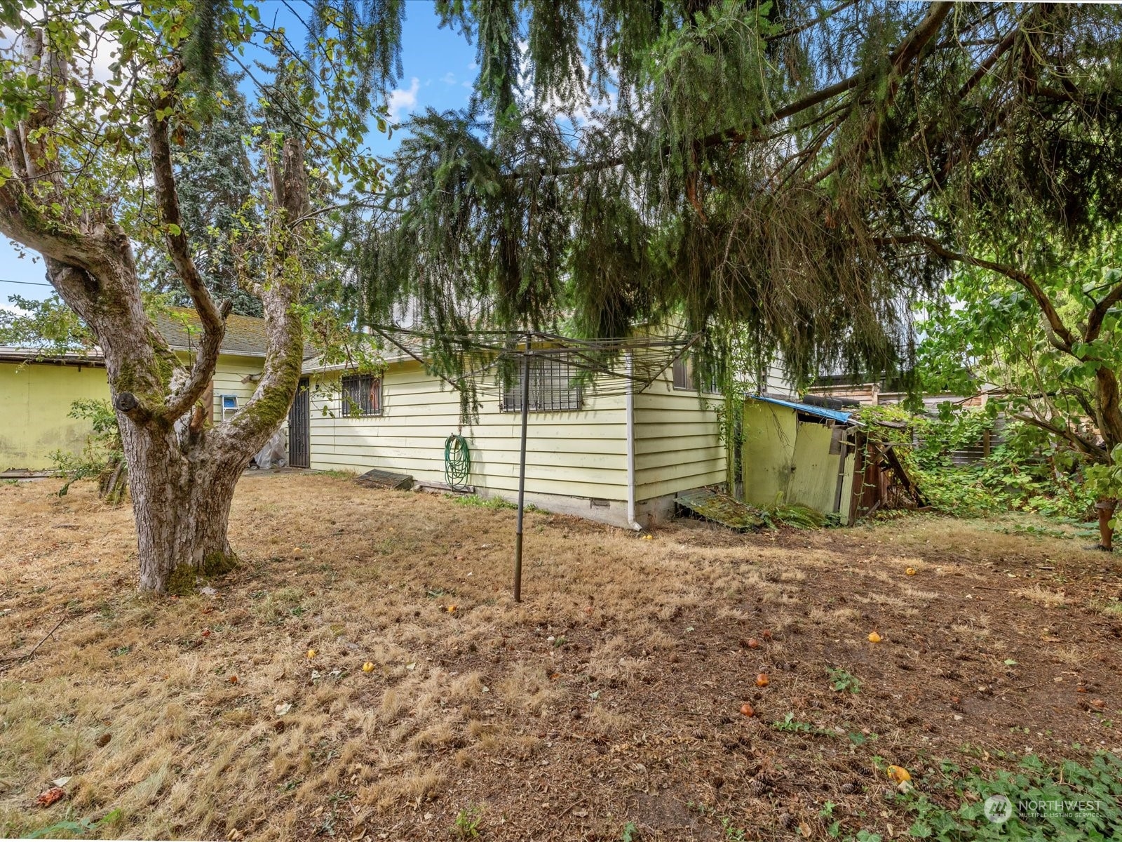 8832 Interlake Avenue North Seattle, WA 98103 - Photo 22 of 29 a view of a backyard