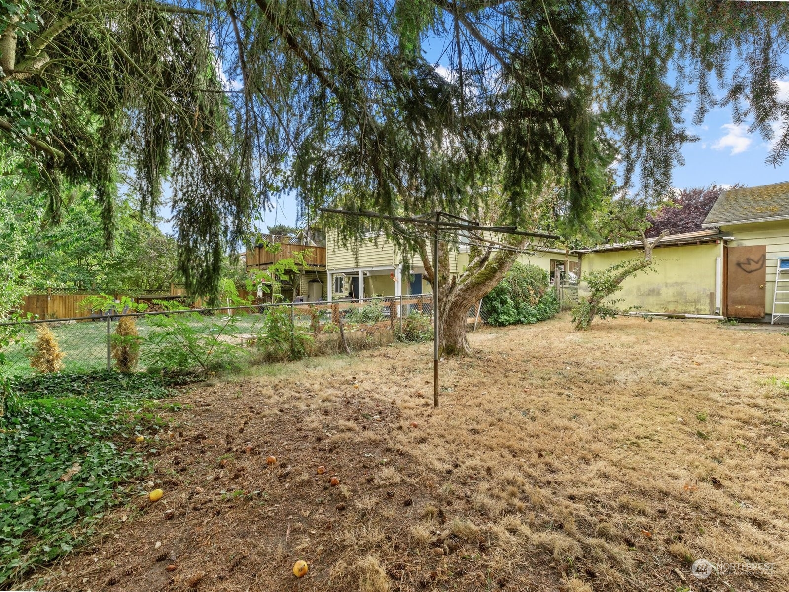 8832 Interlake Avenue North Seattle, WA 98103 - Photo 23 of 29 a view of a yard with large tree