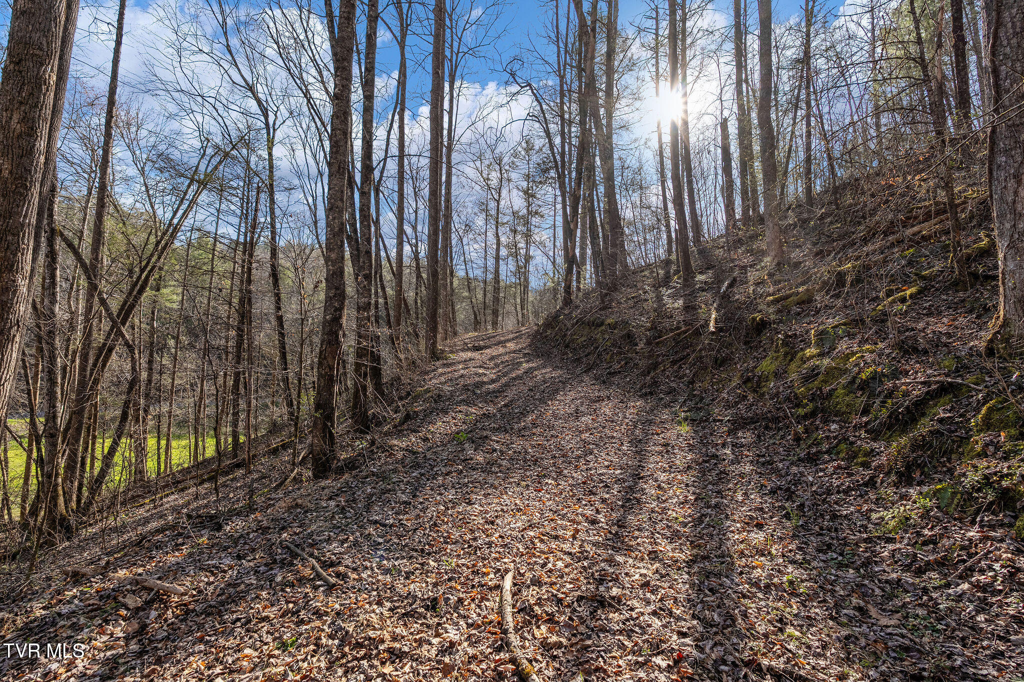 Tbd Raven Branch Road Del Rio, TN 37727 - Photo 17 of 29 DSC08843