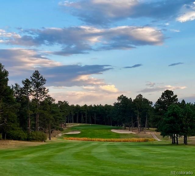 18520 Thunderbird Trail Monument, CO 80132 - Photo 36 of 37 a view of outdoor space with green field and trees in the back