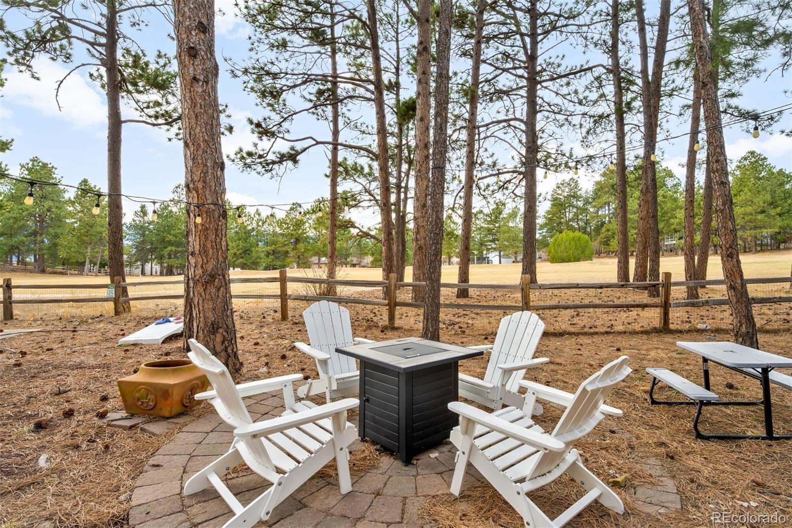 18520 Thunderbird Trail Monument, CO 80132 - Photo 37 of 37