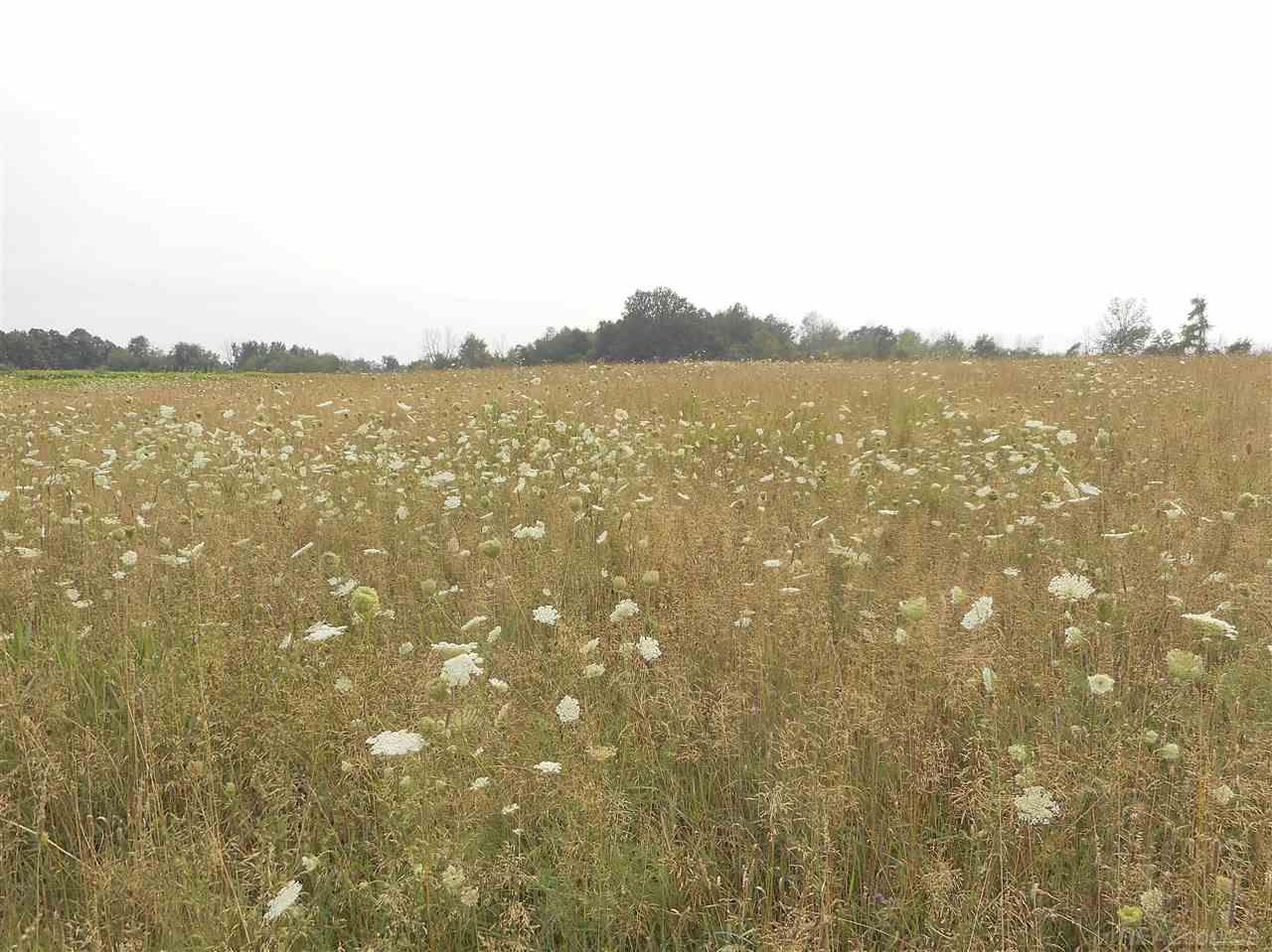 Vl Jordan Road Melvin, MI 48454 - Photo 12 of 22