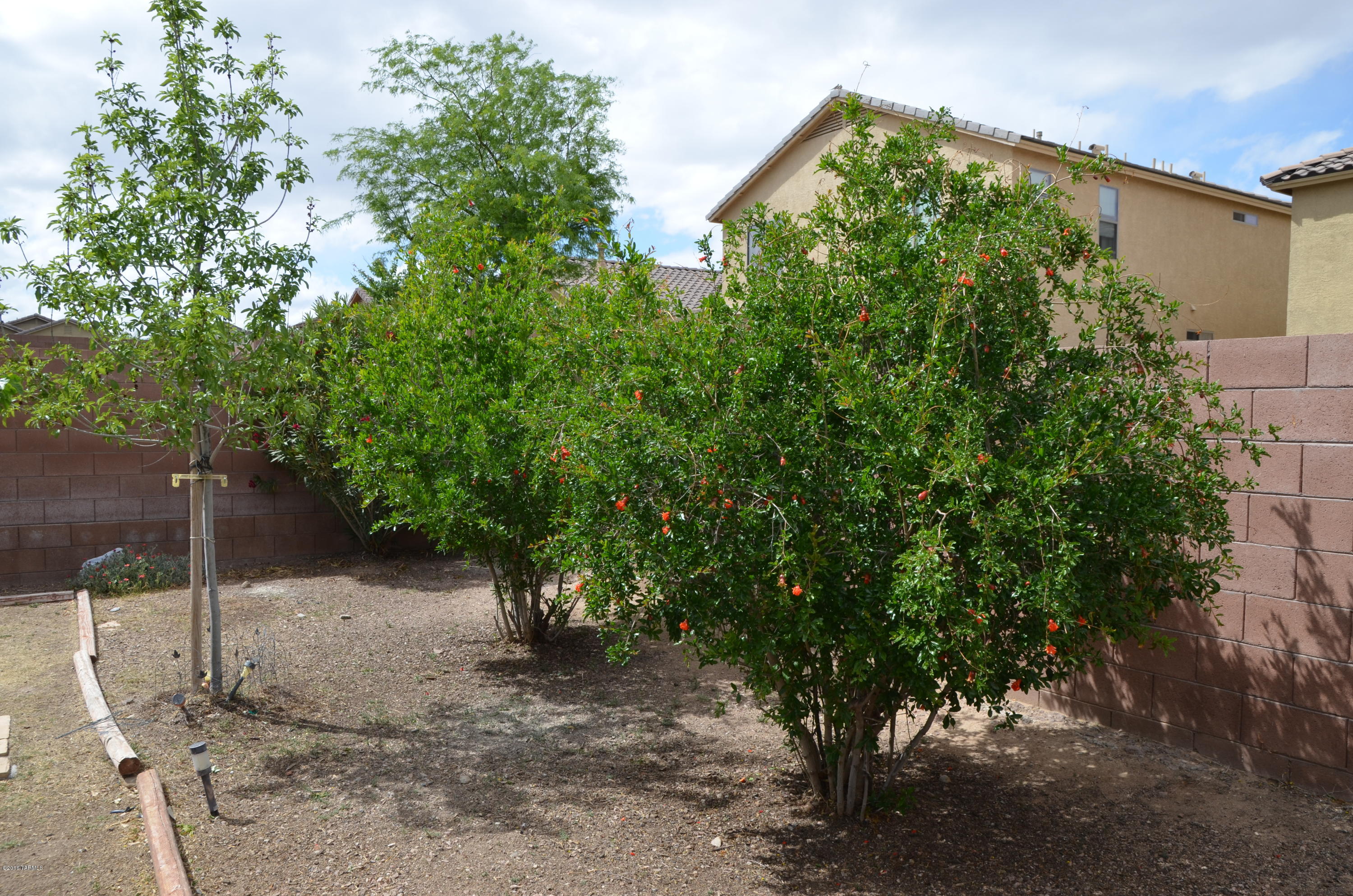698 West Ash Ridge Drive Green Valley, AZ 85614 - Photo 2 of 19 a picture of trees