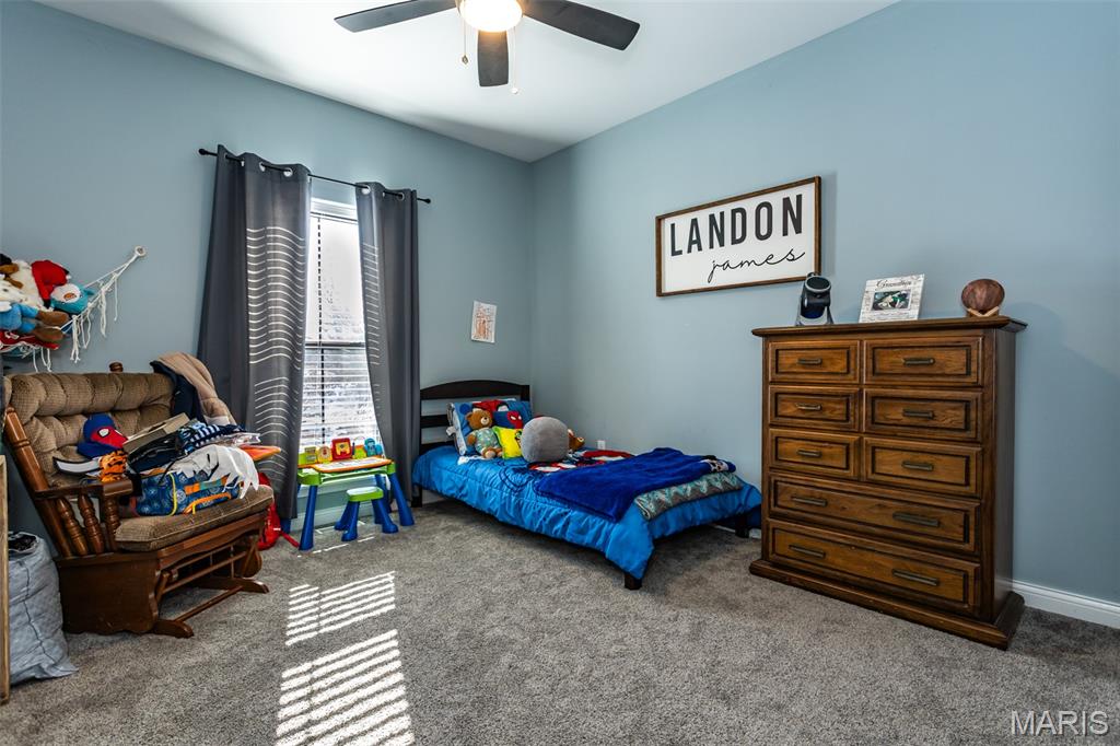 25806 Nellies Ridge Dow, IL 62022 - Photo 21 of 39