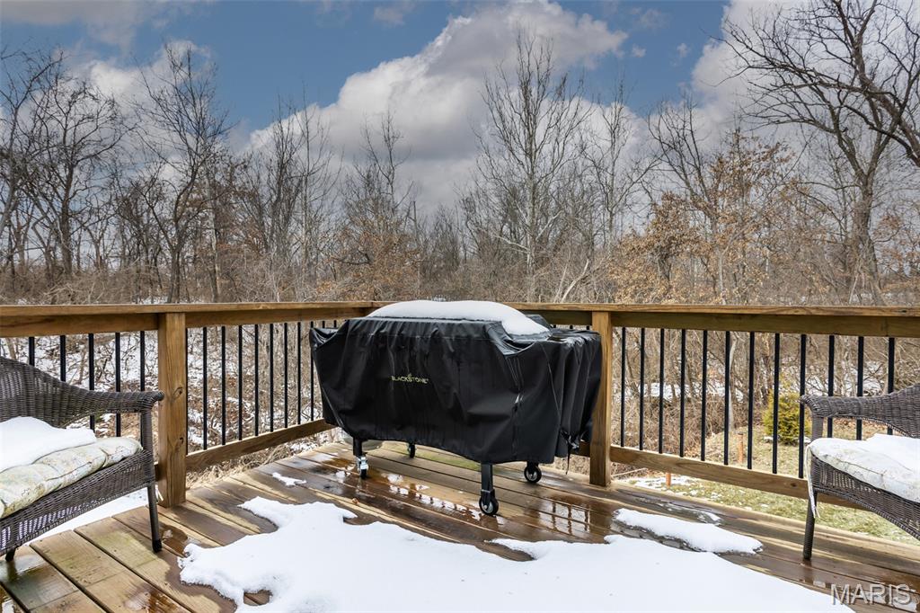 25806 Nellies Ridge Dow, IL 62022 - Photo 30 of 39