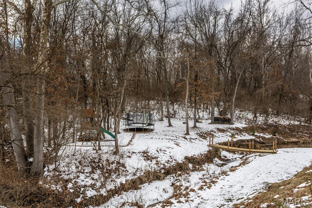 25806 Nellies Ridge Dow, IL 62022 - Photo 34 of 39