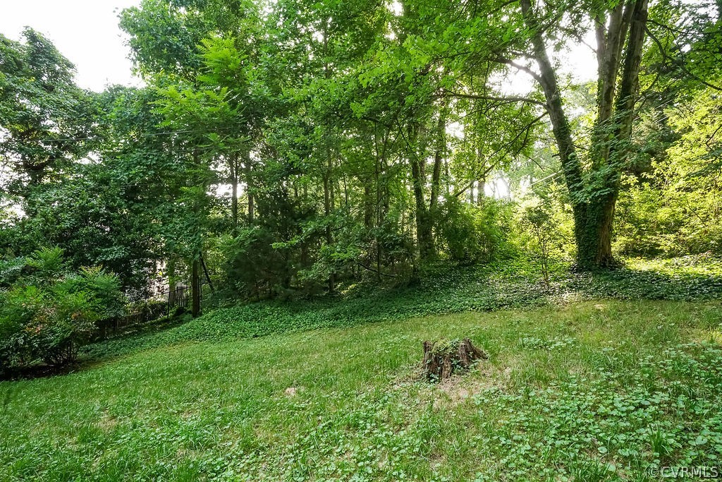 8531 Trabue Road North Chesterfield, VA 23235 - Photo 38 of 42 Verdant, private backyard feels like a park