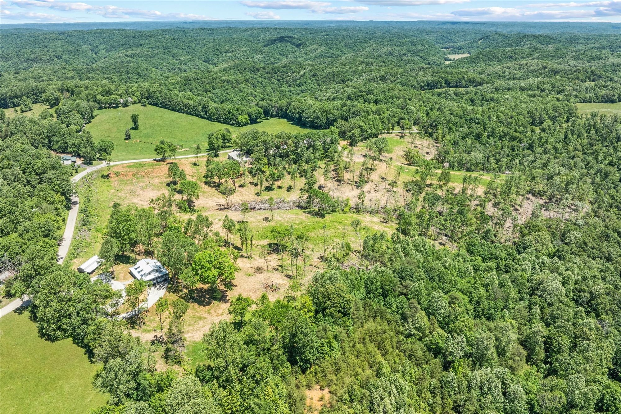 4221 New Hope Road Celina, TN 38551 - Photo 41 of 52 a view of a big yard with large trees