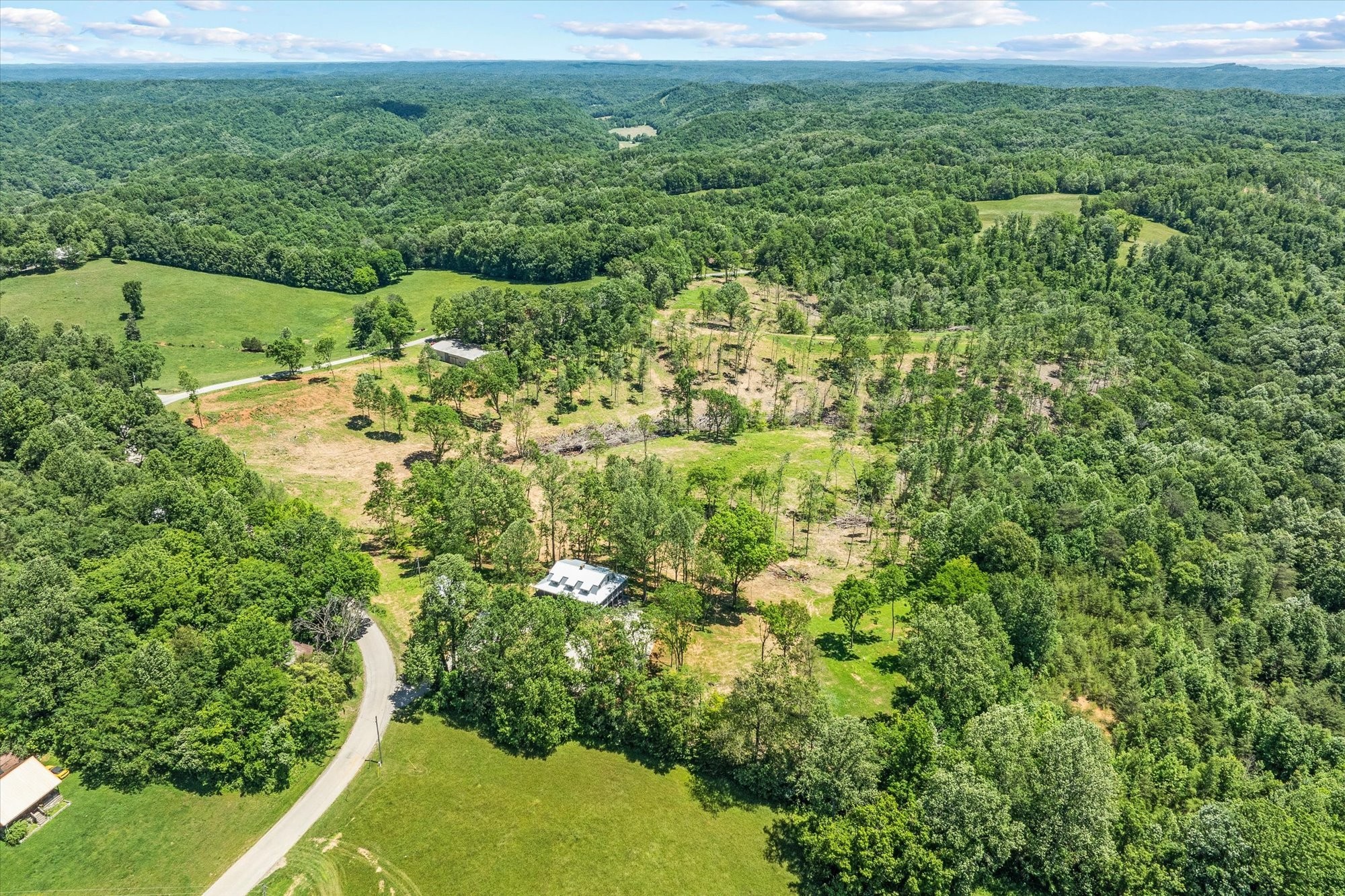 4221 New Hope Road Celina, TN 38551 - Photo 42 of 52 a view of a yard with plants and large trees