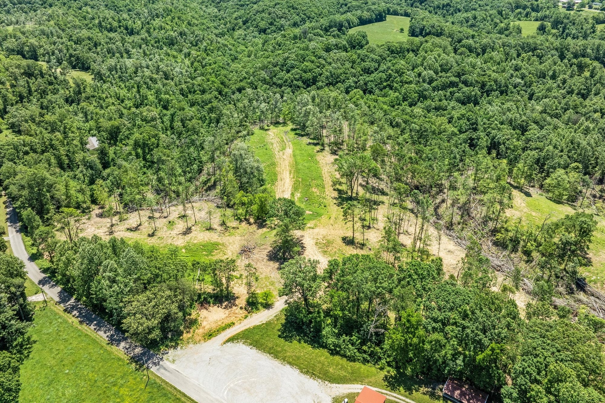 4221 New Hope Road Celina, TN 38551 - Photo 47 of 52 a view of a garden