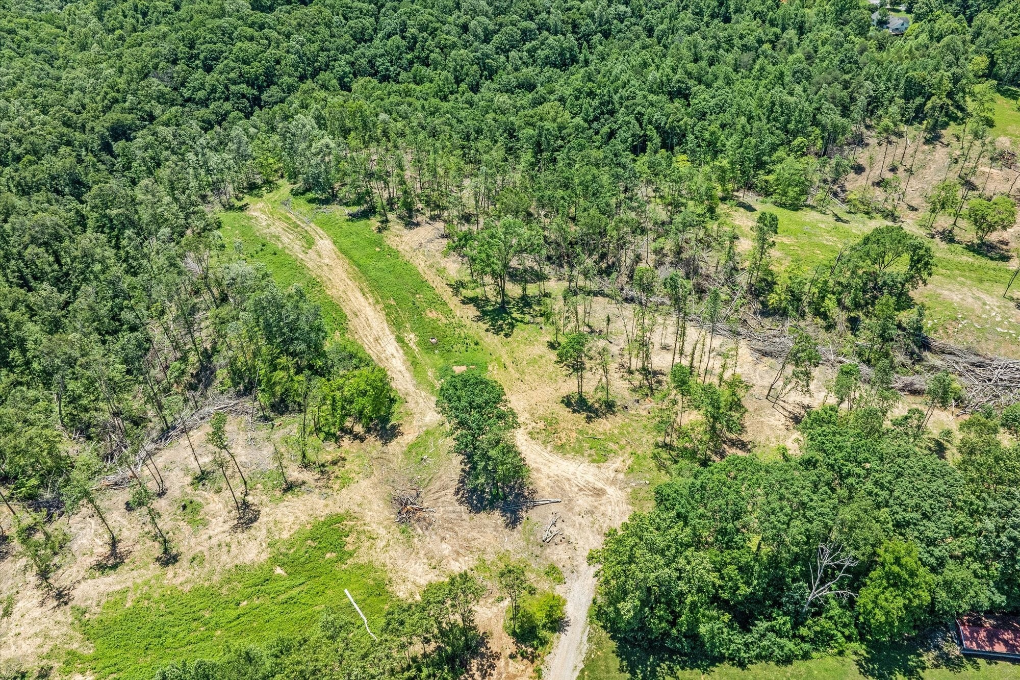 4221 New Hope Road Celina, TN 38551 - Photo 48 of 52 a view of a forest with a tree