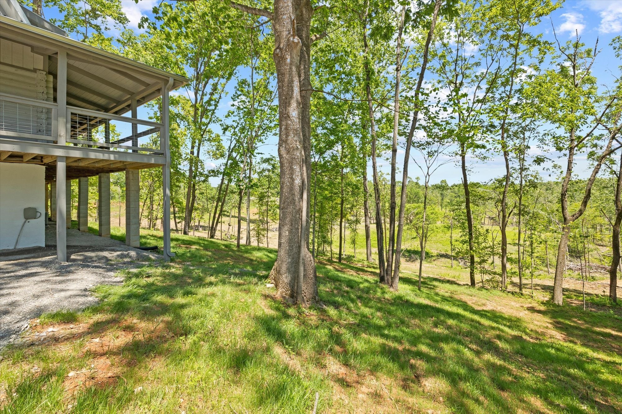 4221 New Hope Road Celina, TN 38551 - Photo 8 of 52 a view of an trees with backyard