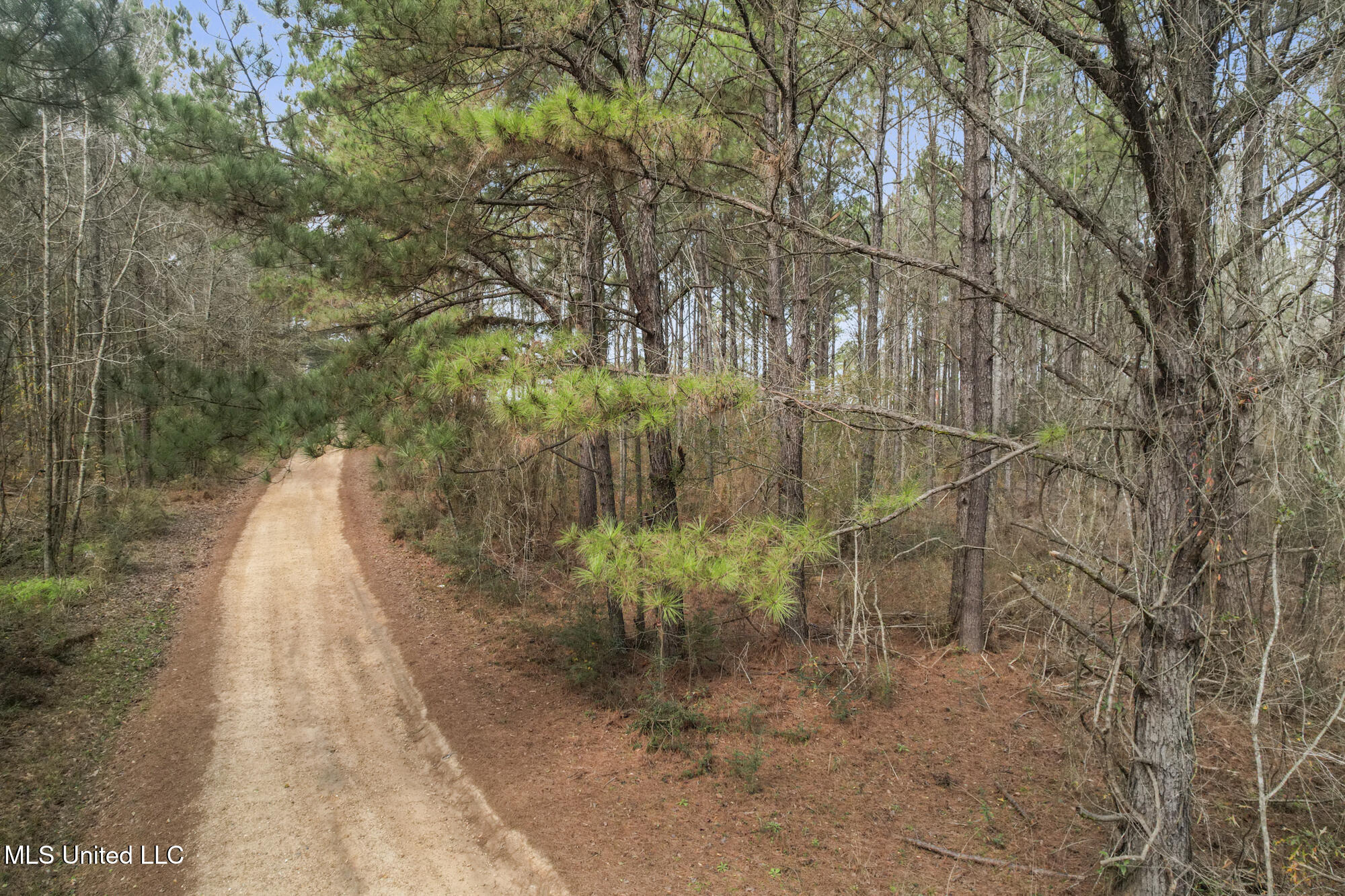 2008 Johnston Station Road Summit, MS 39666 - Photo 7 of 8 ghubphoto_006