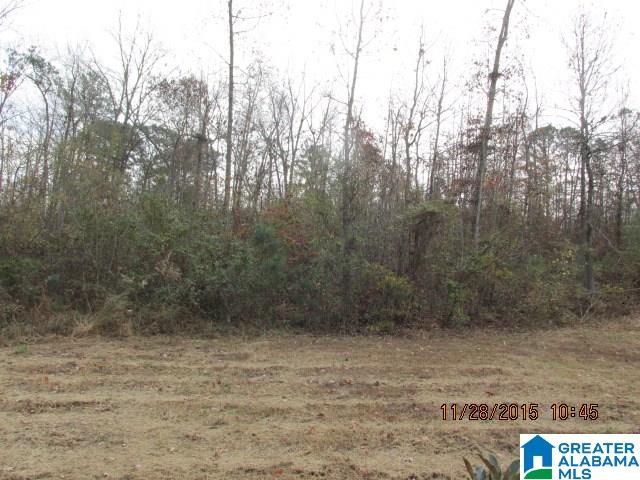 619 Tidwell Hollow Road Oneonta, AL 35121 - Photo 3 of 18
