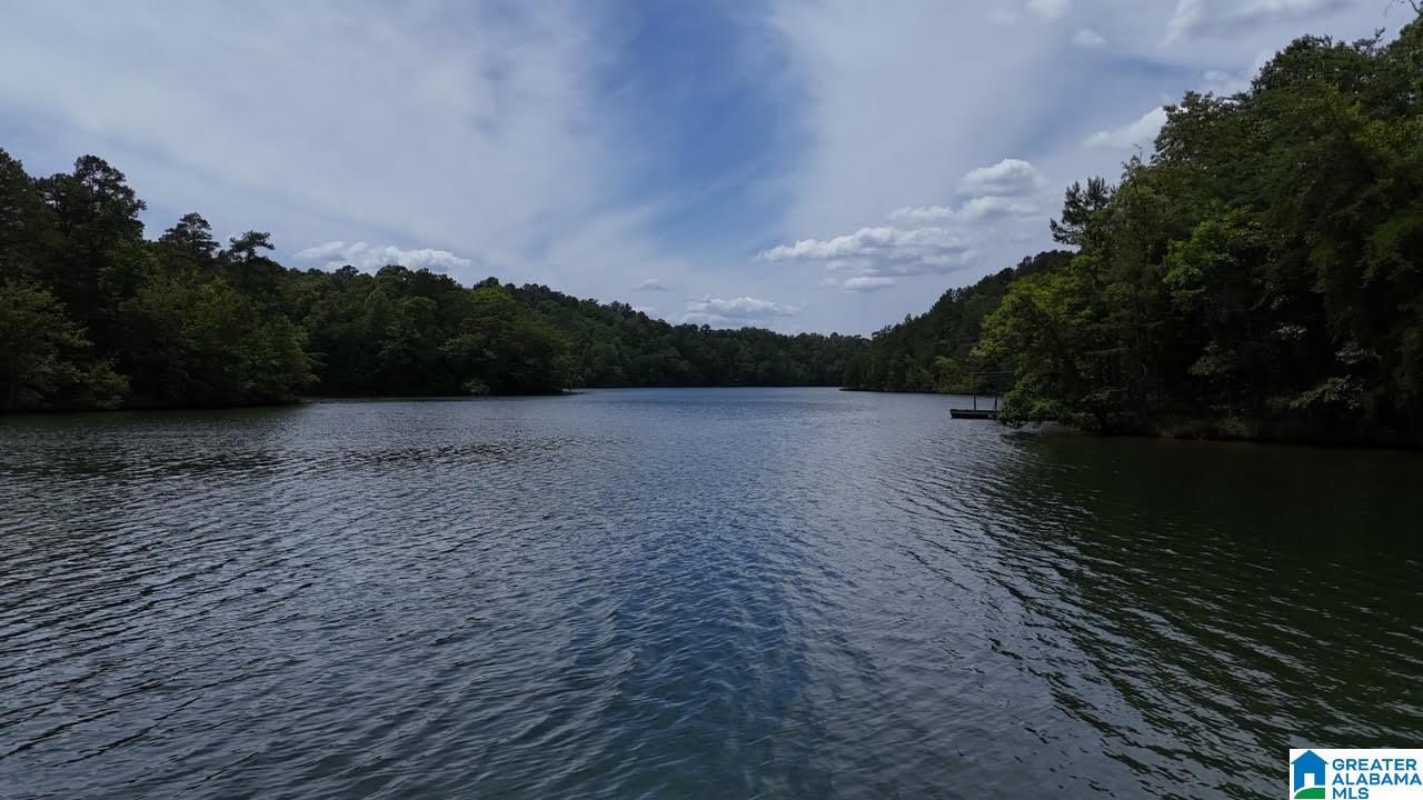 190 Ginhouse Point Wedowee, AL 36278 - Photo 37 of 37