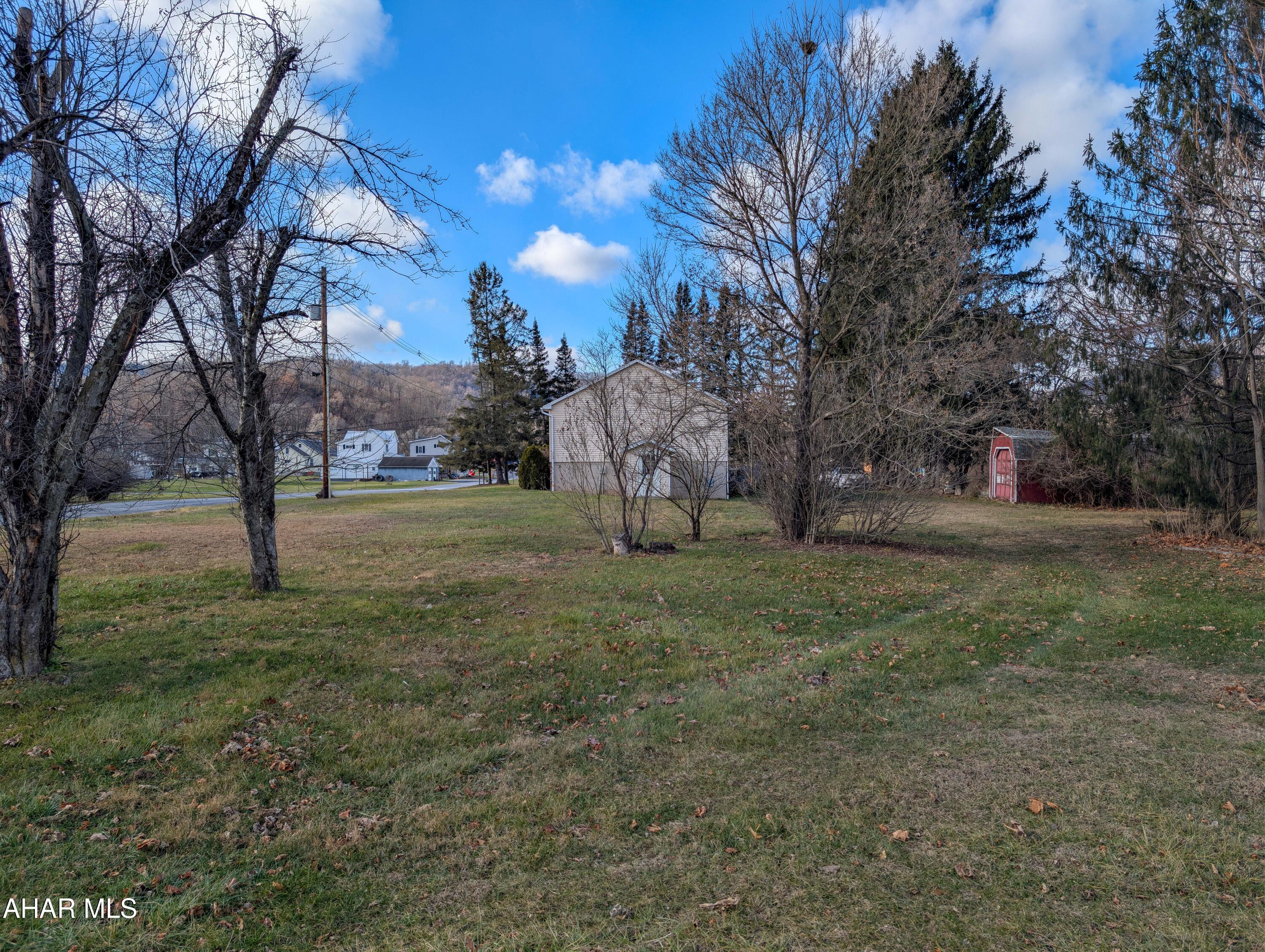 147 Pine Street Hyndman, PA 15545 - Photo 6 of 44 a view of backyard with tree