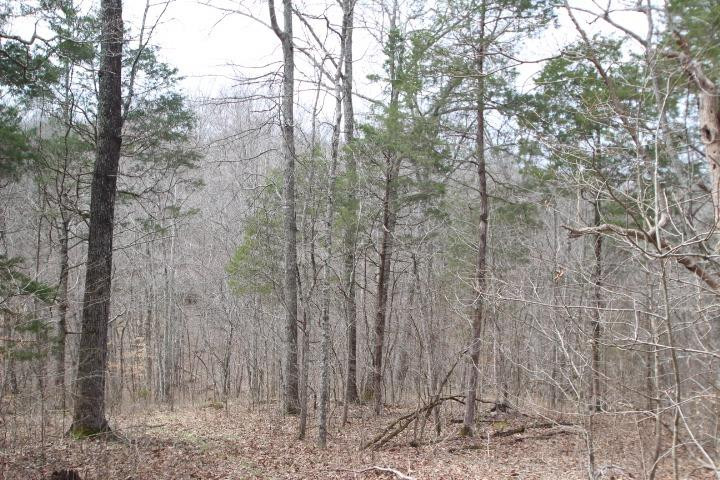1 Gest Road Frankfort, KY 40601 - Photo 9 of 12 Photo 9