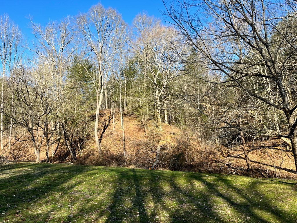 0 Ruth Lane Sevierville, TN 37862 - Photo 8 of 11