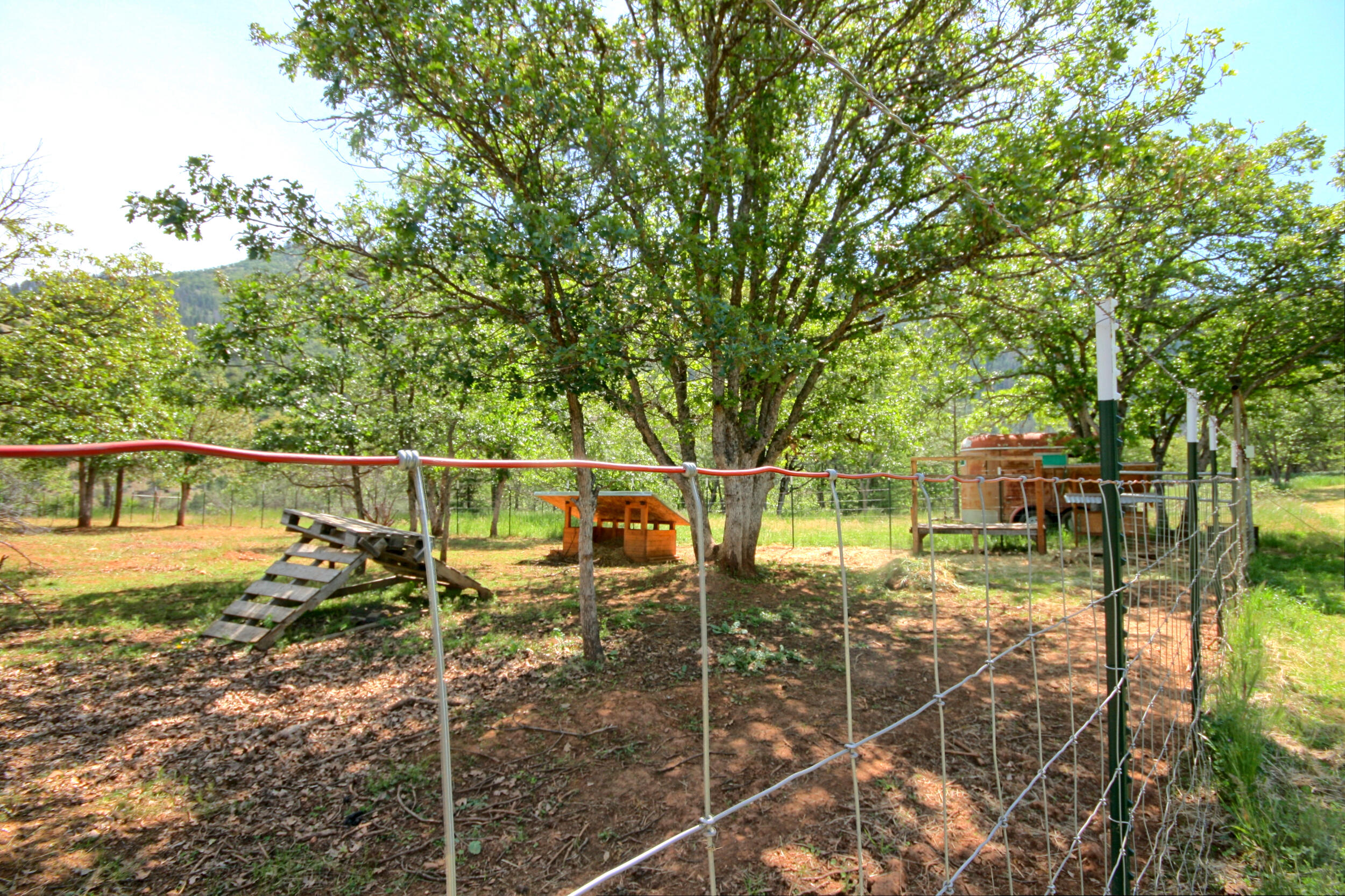 8150 Upper Applegate Road Jacksonville, OR 97530 - Photo 108 of 122 fenced animal corral