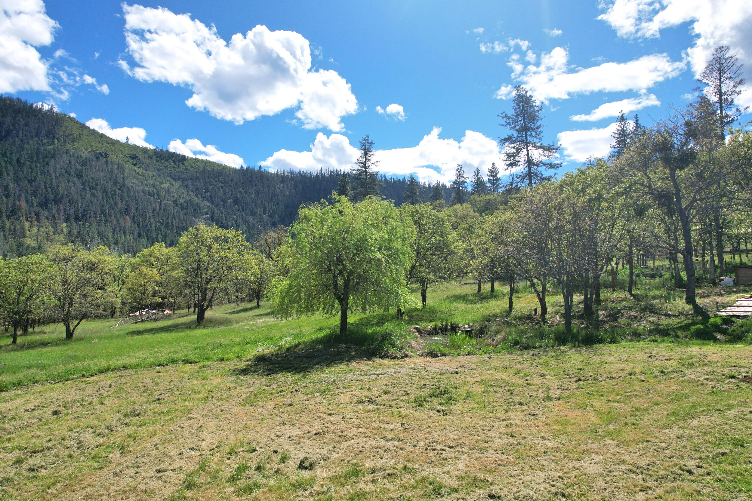 8150 Upper Applegate Road Jacksonville, OR 97530 - Photo 116 of 122 a view of a big yard with lots of green space