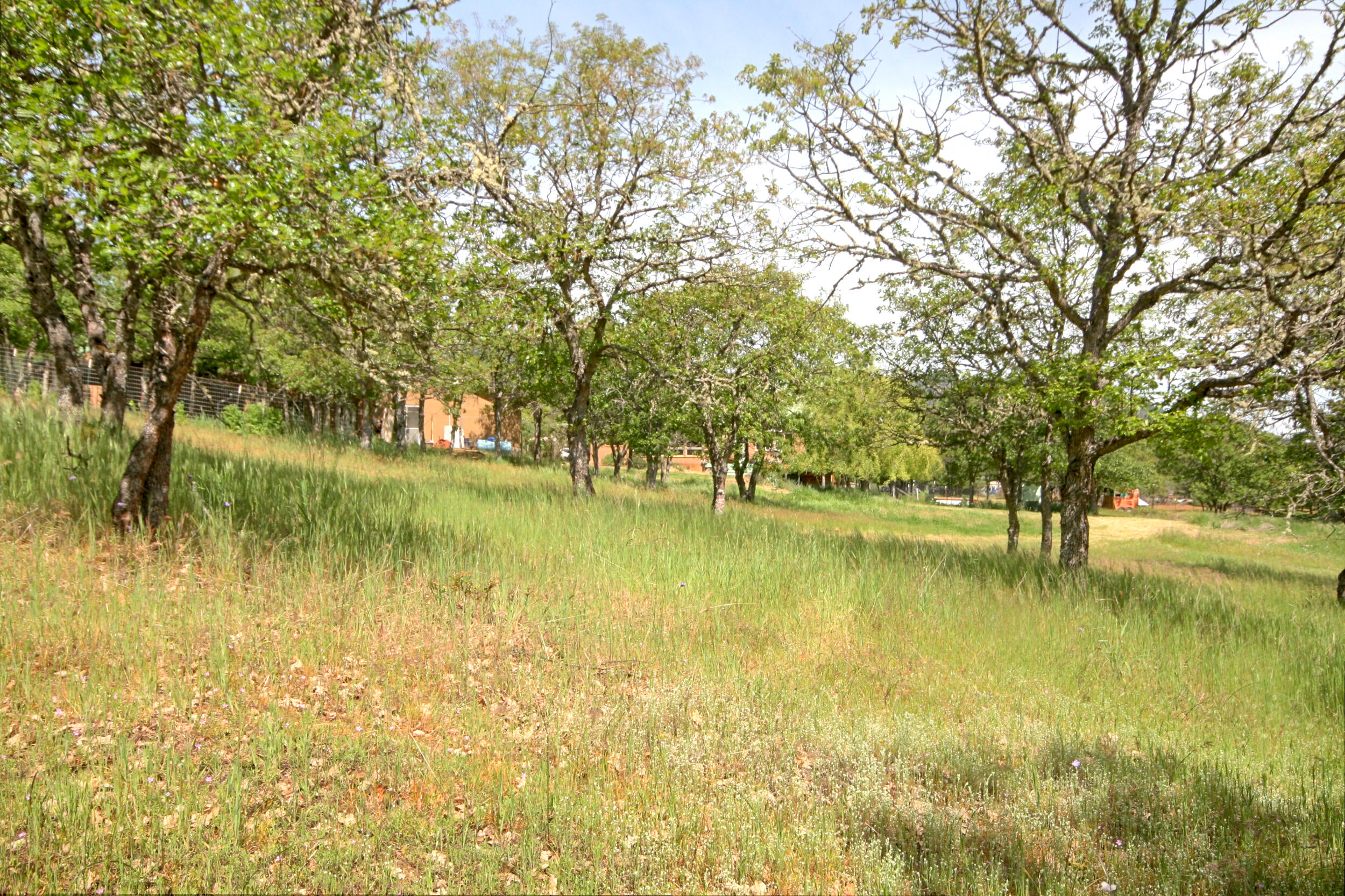 8150 Upper Applegate Road Jacksonville, OR 97530 - Photo 121 of 122 a view of an ocean with a trees