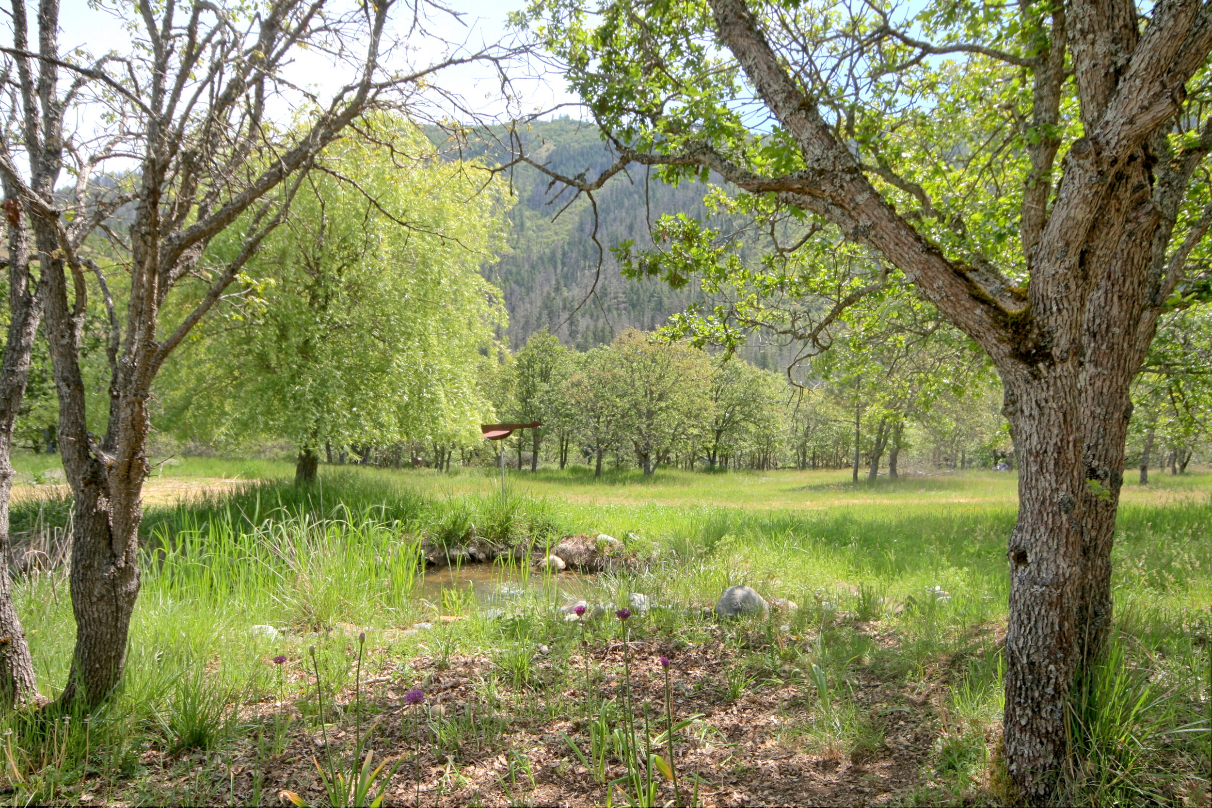 8150 Upper Applegate Road Jacksonville, OR 97530 - Photo 66 of 122 small pond