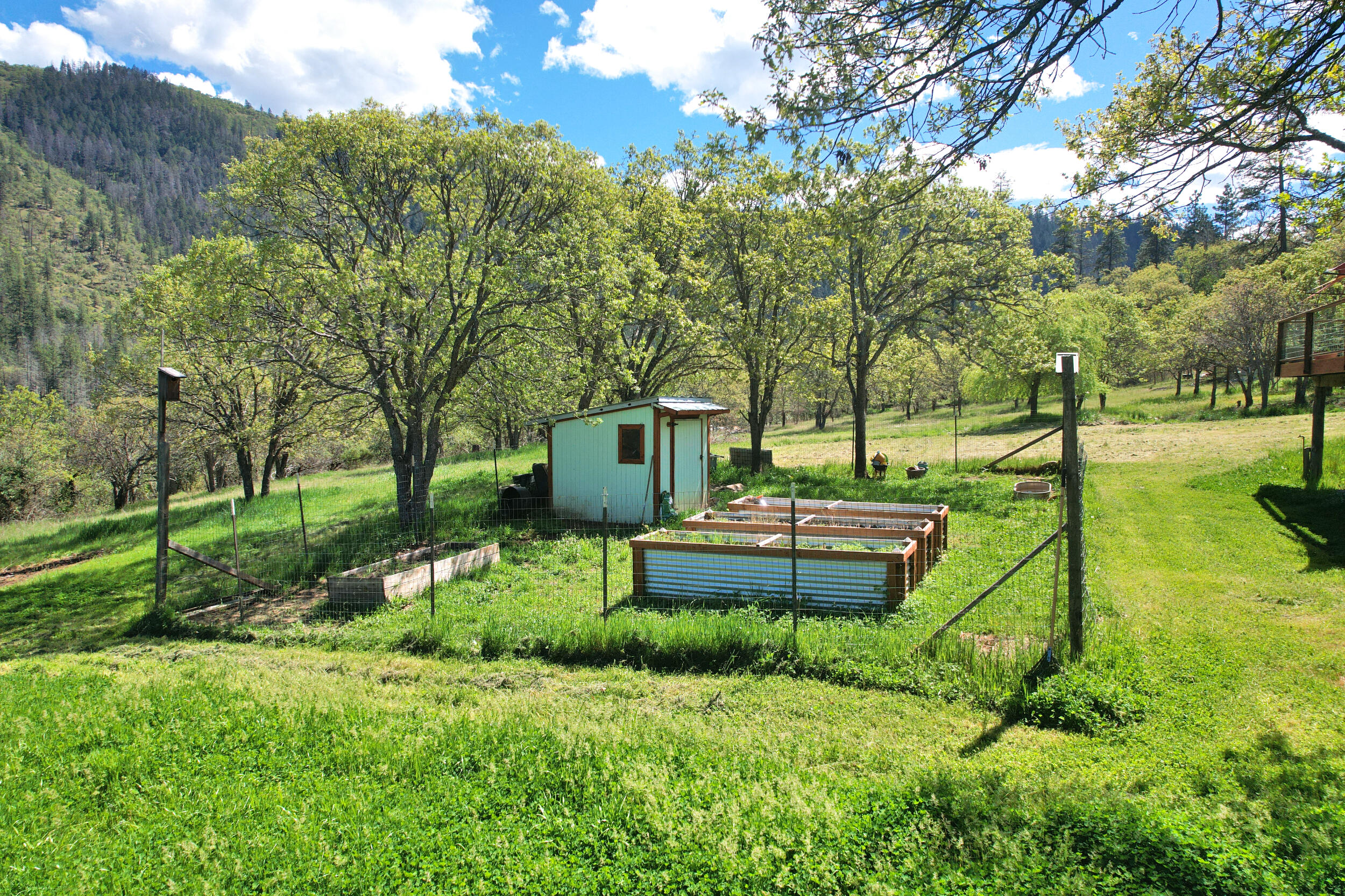 8150 Upper Applegate Road Jacksonville, OR 97530 - Photo 67 of 122 fenced garden