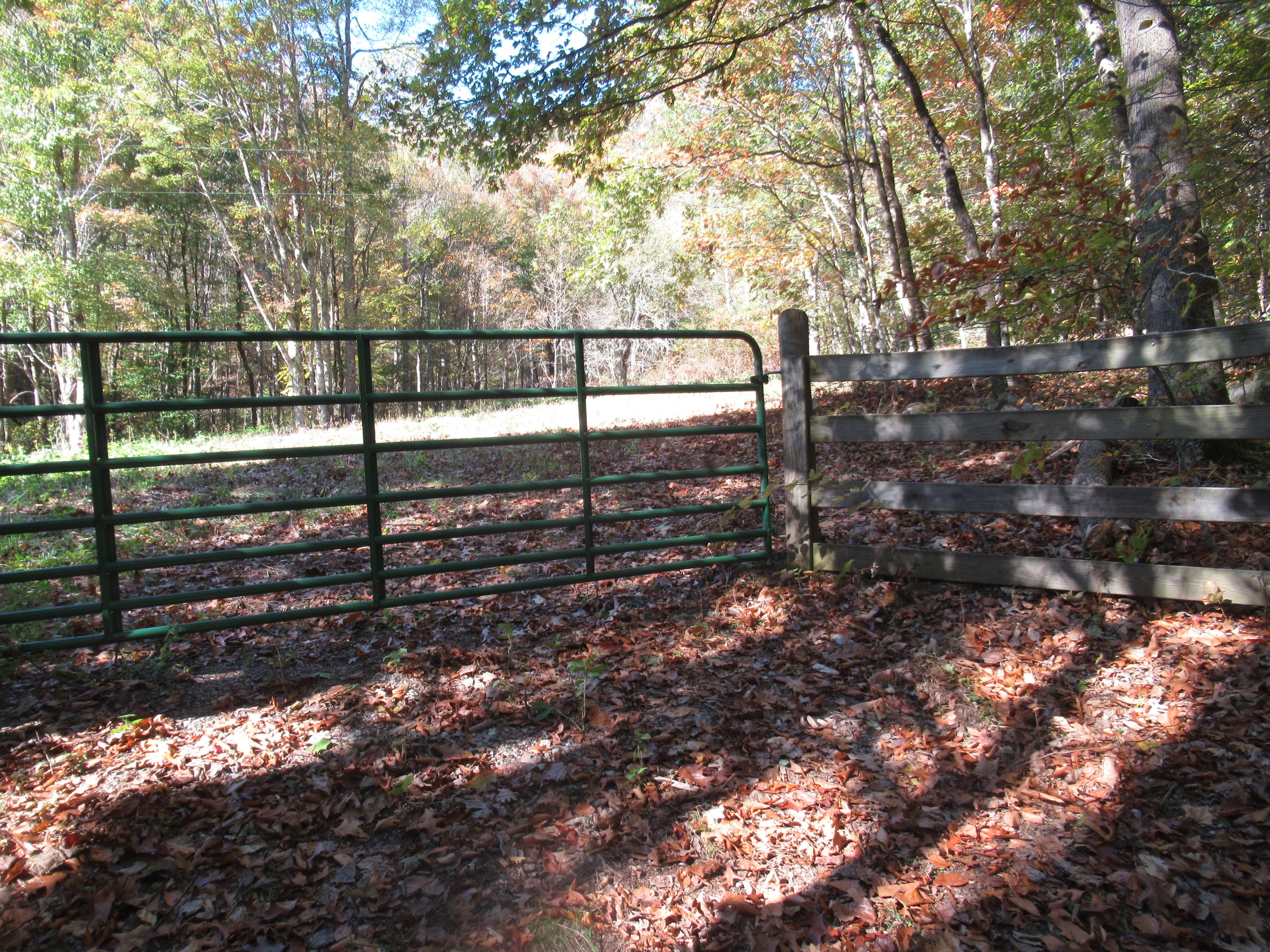 George Ballengee Road Alderson, WV 24910 - Photo 2 of 17 Gallery Image 2