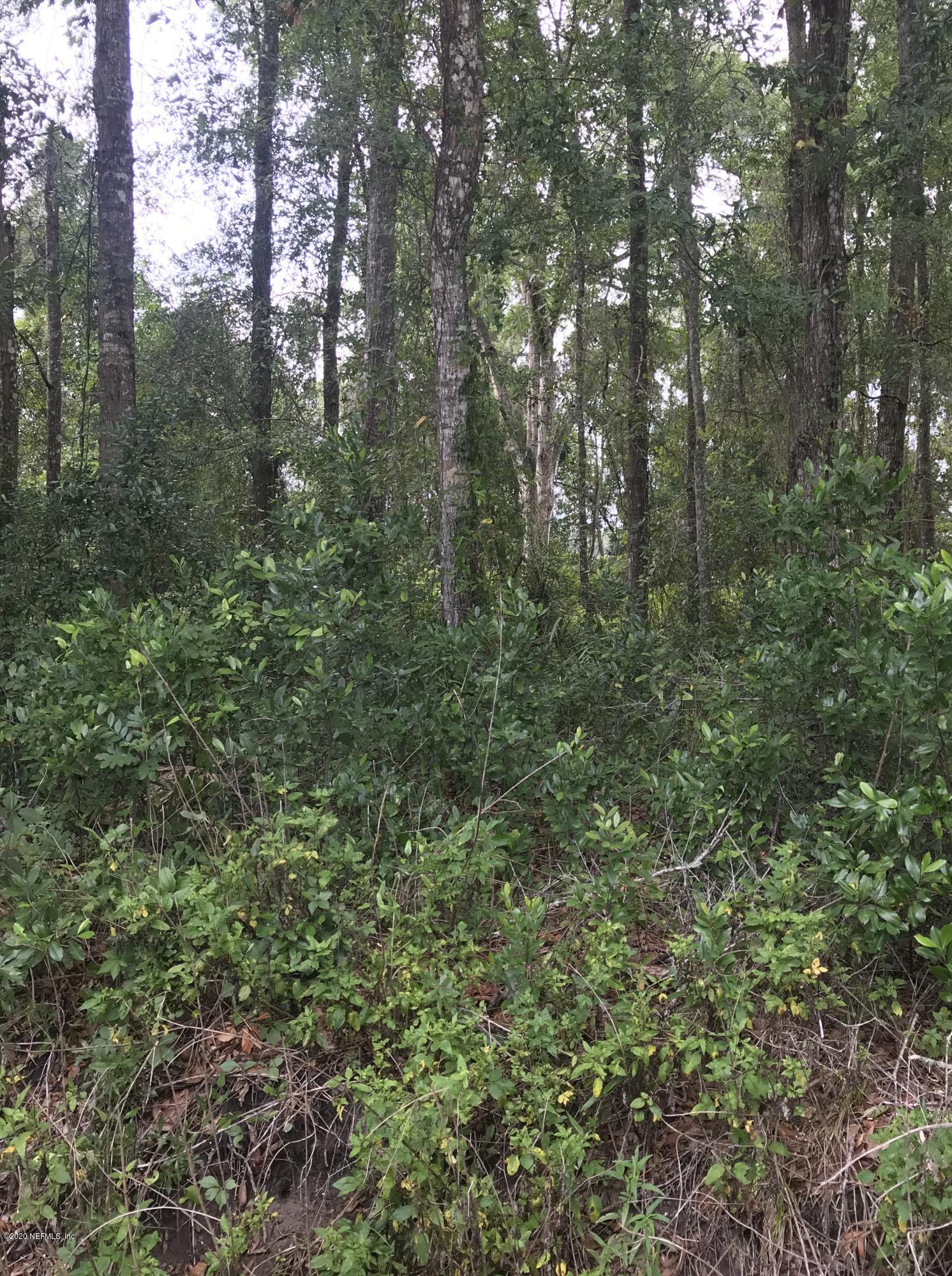134 Georgetown Point Road Georgetown, FL 32139 - Photo 1 of 3 134 Georgetown Point Rd