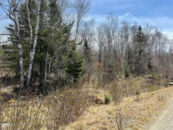 $35,000 | Lot 12 Reef Point Road, Addison, ME 04606