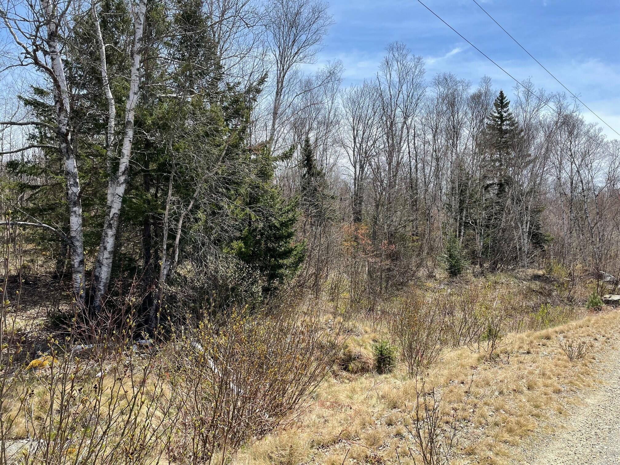 Lot 12 Reef Point Road Addison, ME 04606 - Photo 2 of 2 view of lot 12