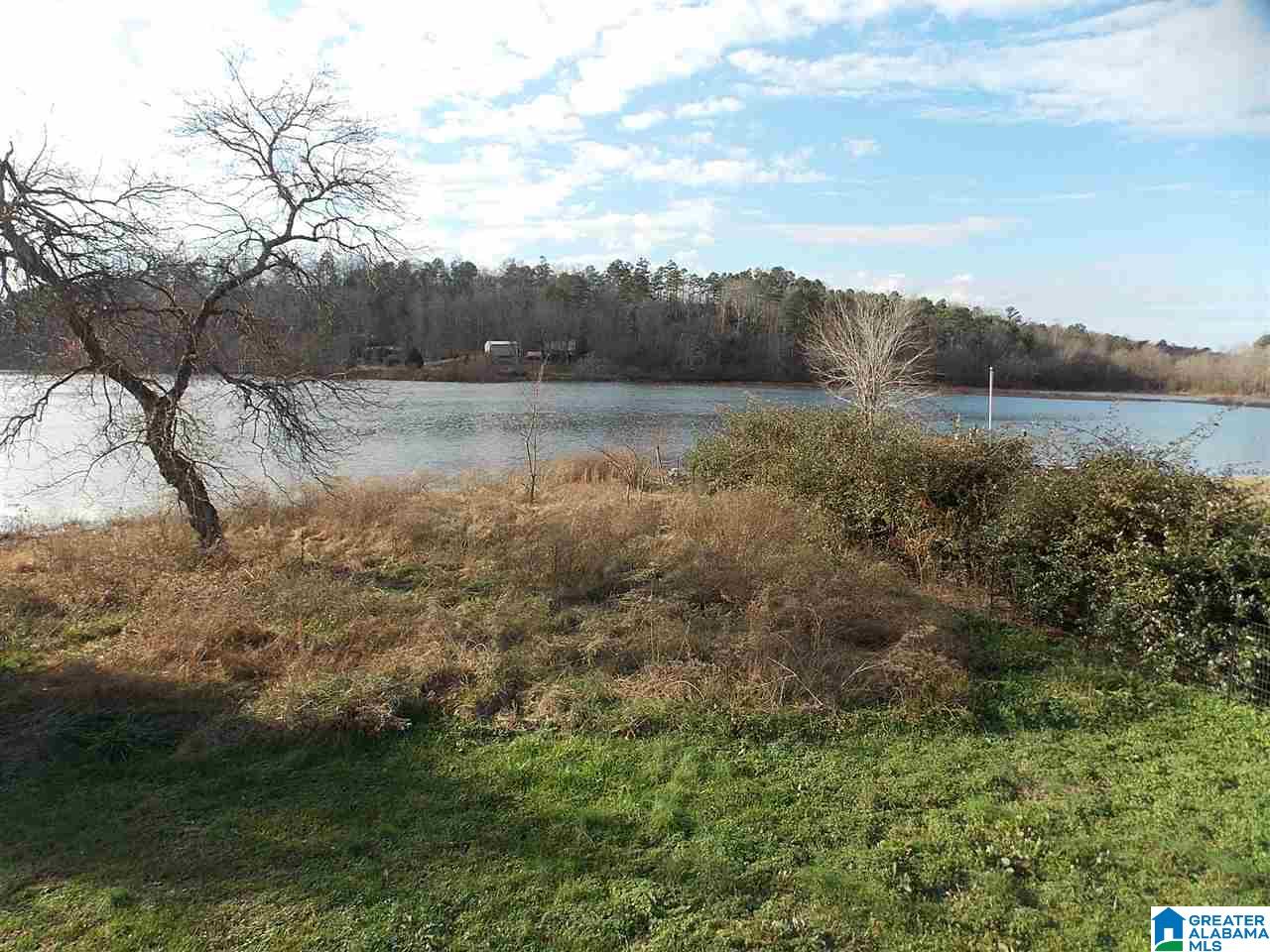 1466 Reid Road Oneonta, AL 35121 - Photo 3 of 10