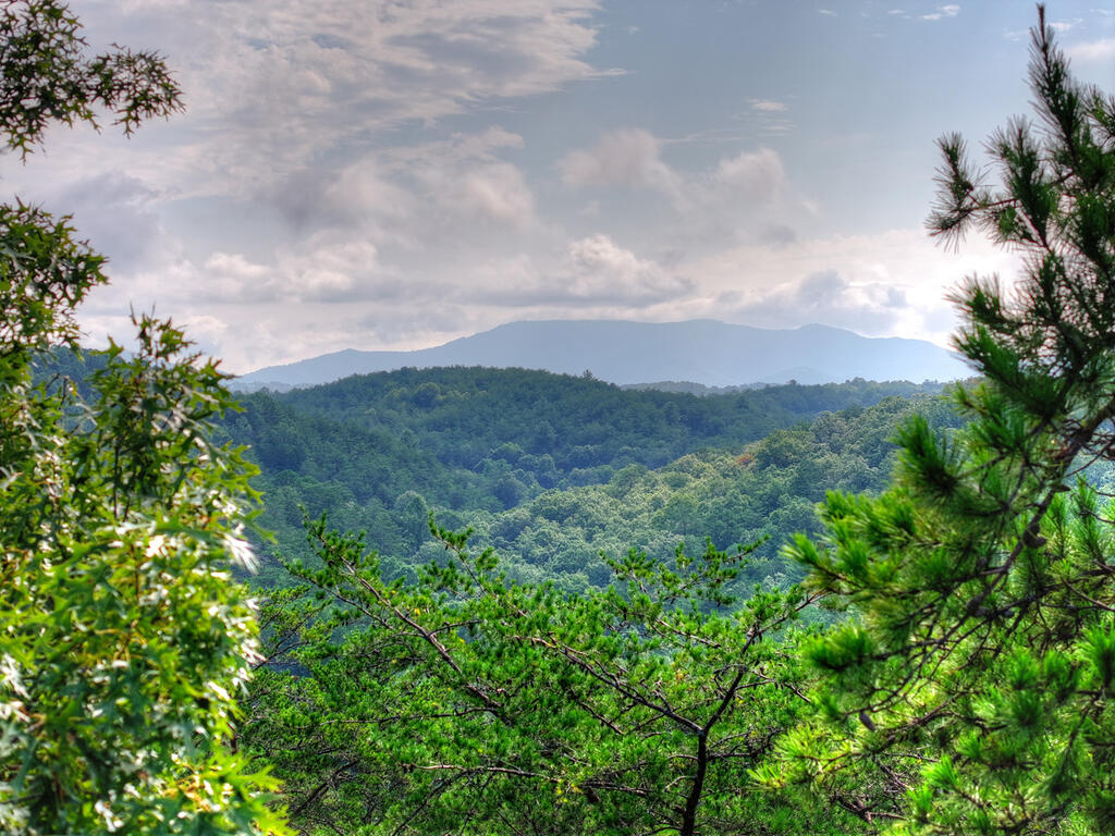 0 Andeburg Hollow Road Copperhill, TN 37317 - Photo 7 of 13 Gallery Image 7