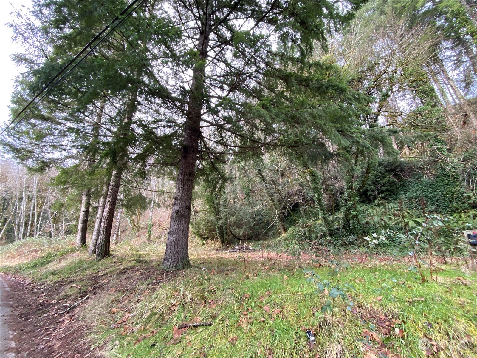 290 East Sherwood Road Allyn, WA 98524 - Photo 9 of 11 Gallery Image 9