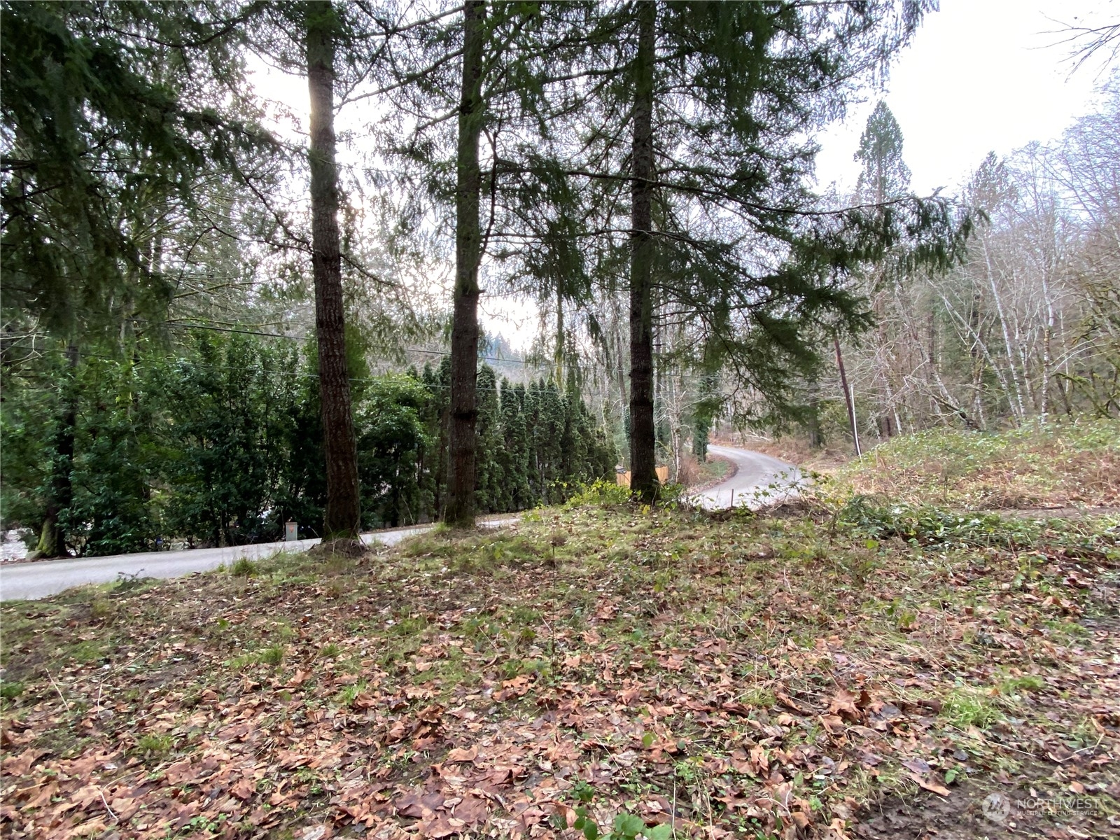 290 East Sherwood Road Allyn, WA 98524 - Photo 10 of 11 Gallery Image 10