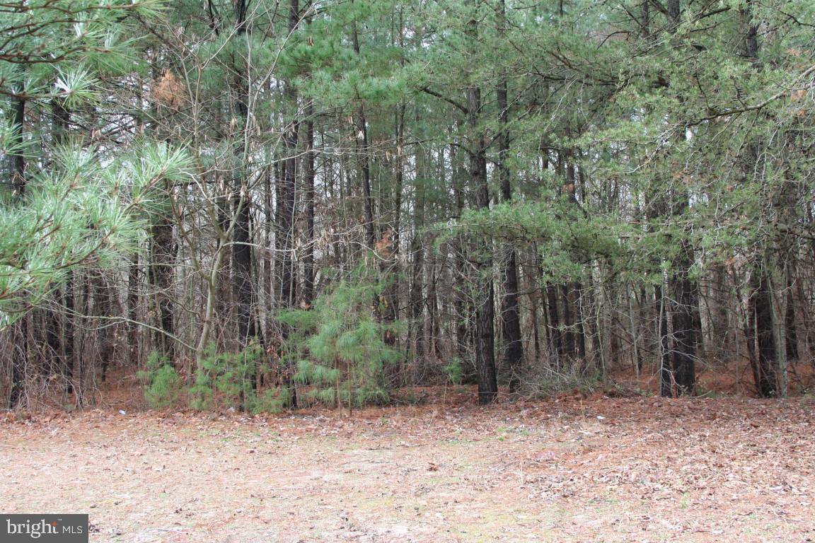 1314 West Road Salisbury, MD 21801 - Photo 8 of 26 Gallery Image 8
