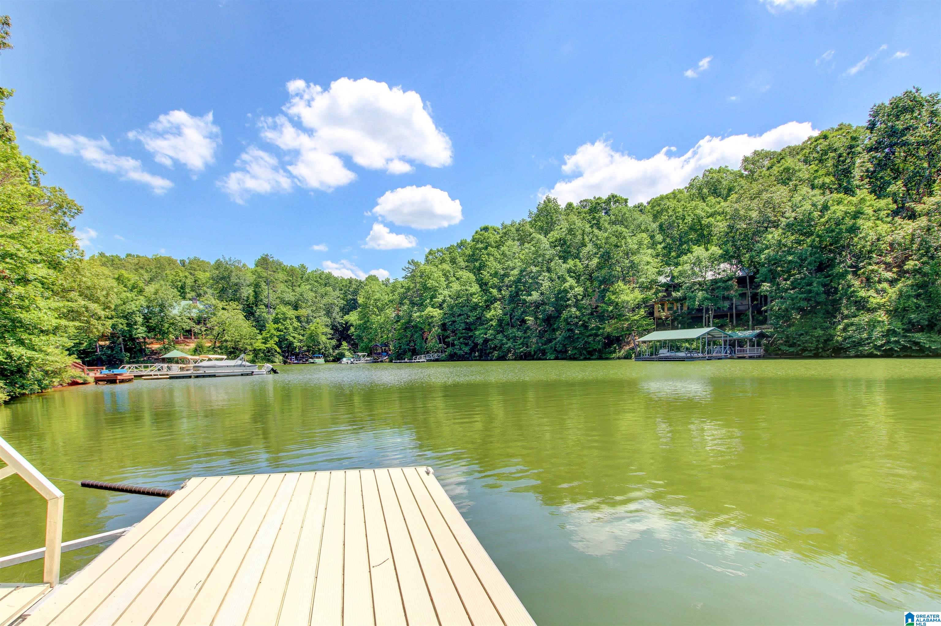 354 Swagg Cove Road Wedowee, AL 36278 - Photo 2 of 32