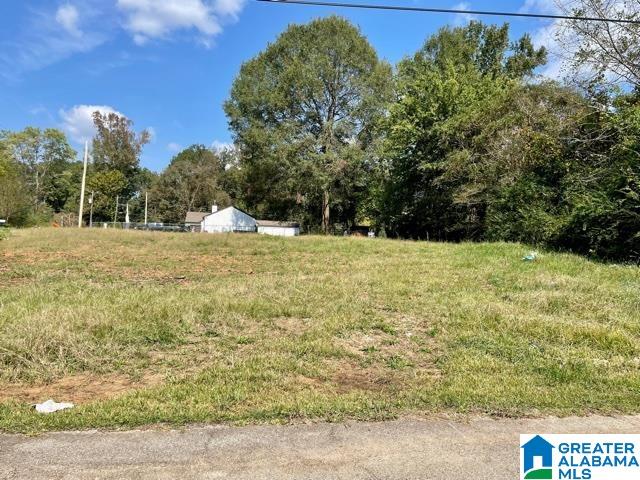 333 Del Rio Drive, Unit 1 Birmingham, AL 35235 - Photo 1 of 3