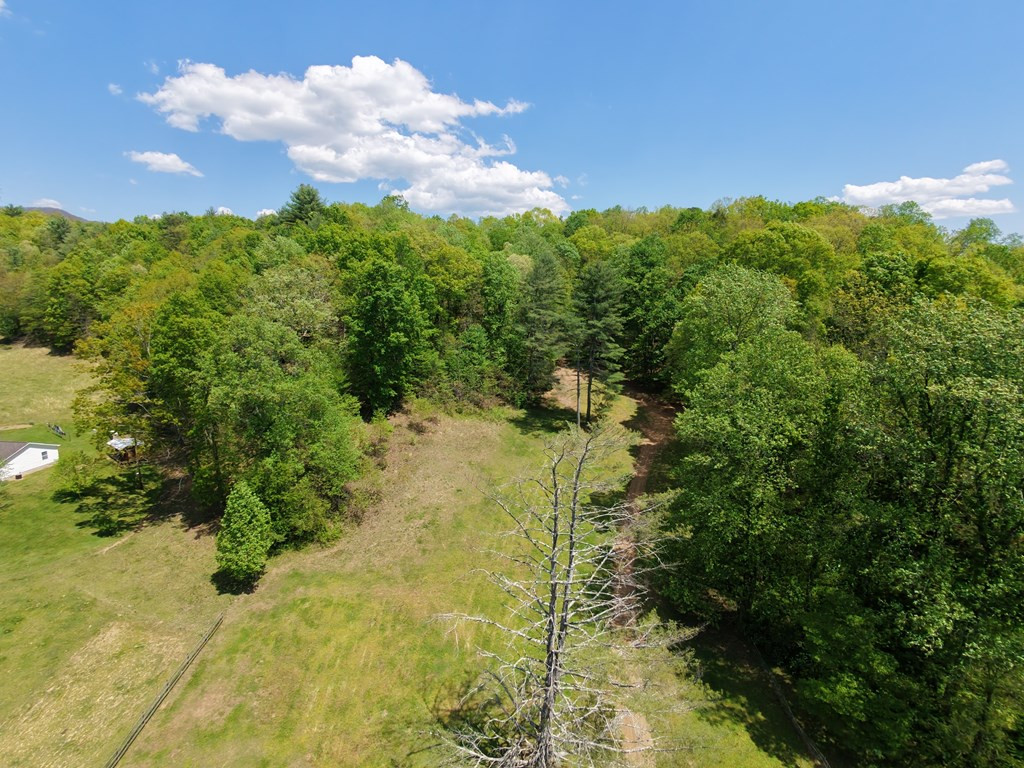 136 Gibson Road Andrews, NC 28901 - Photo 6 of 68