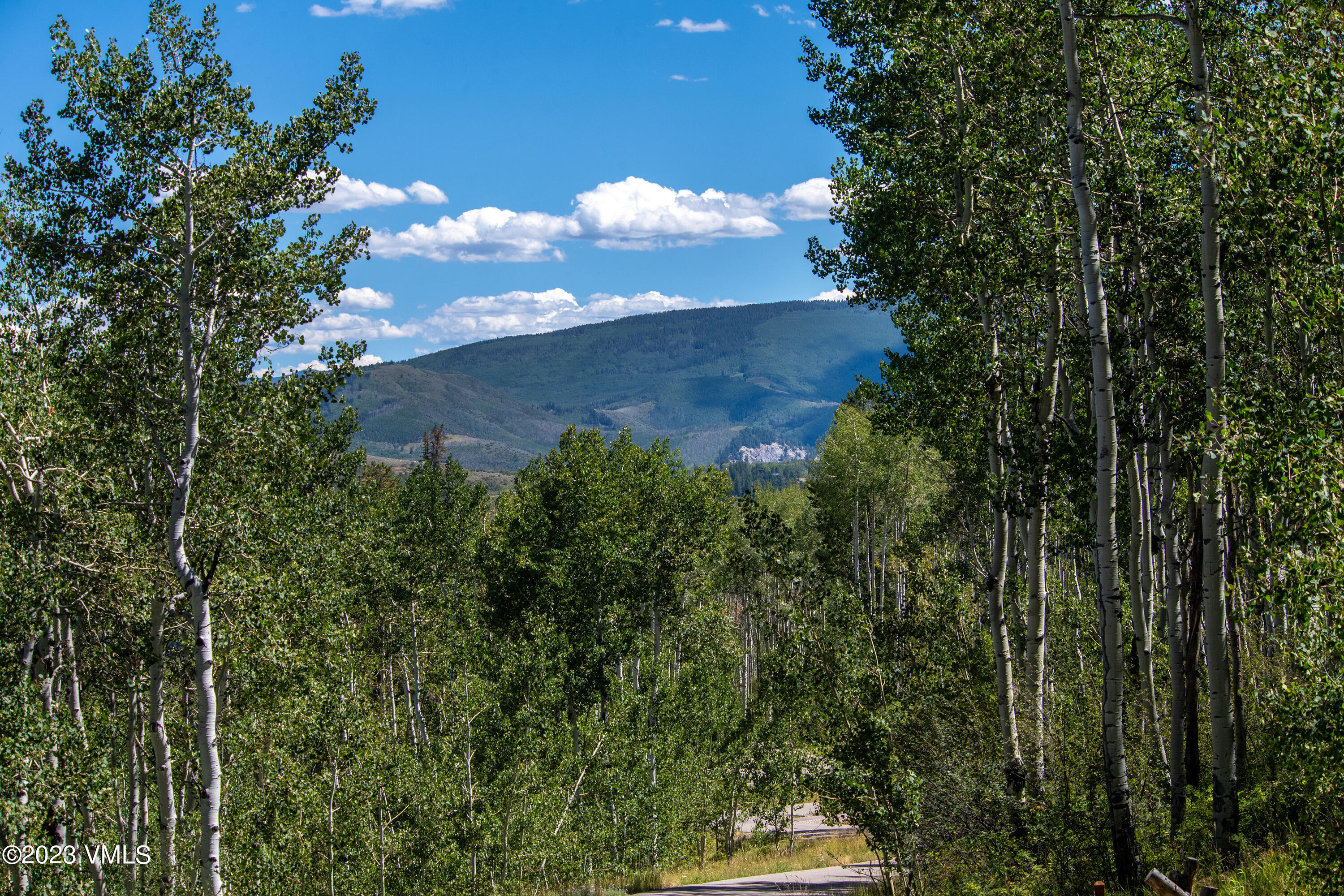 1121 Forest Trail Edwards, CO 81632 - Photo 12 of 13 a view of a small yard