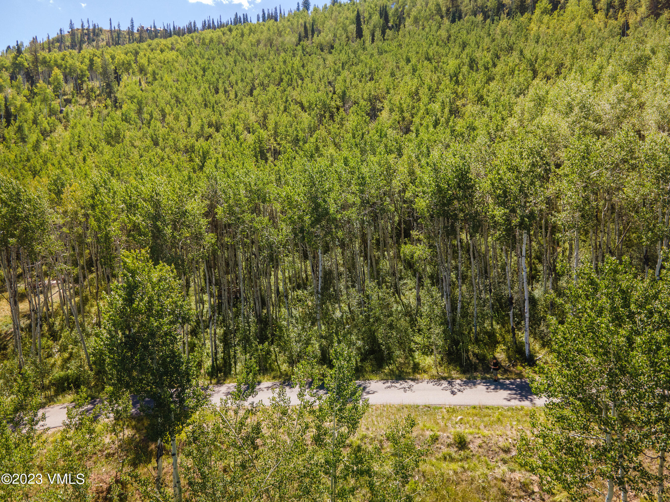 1121 Forest Trail Edwards, CO 81632 - Photo 2 of 13 a view of a yard with a tree