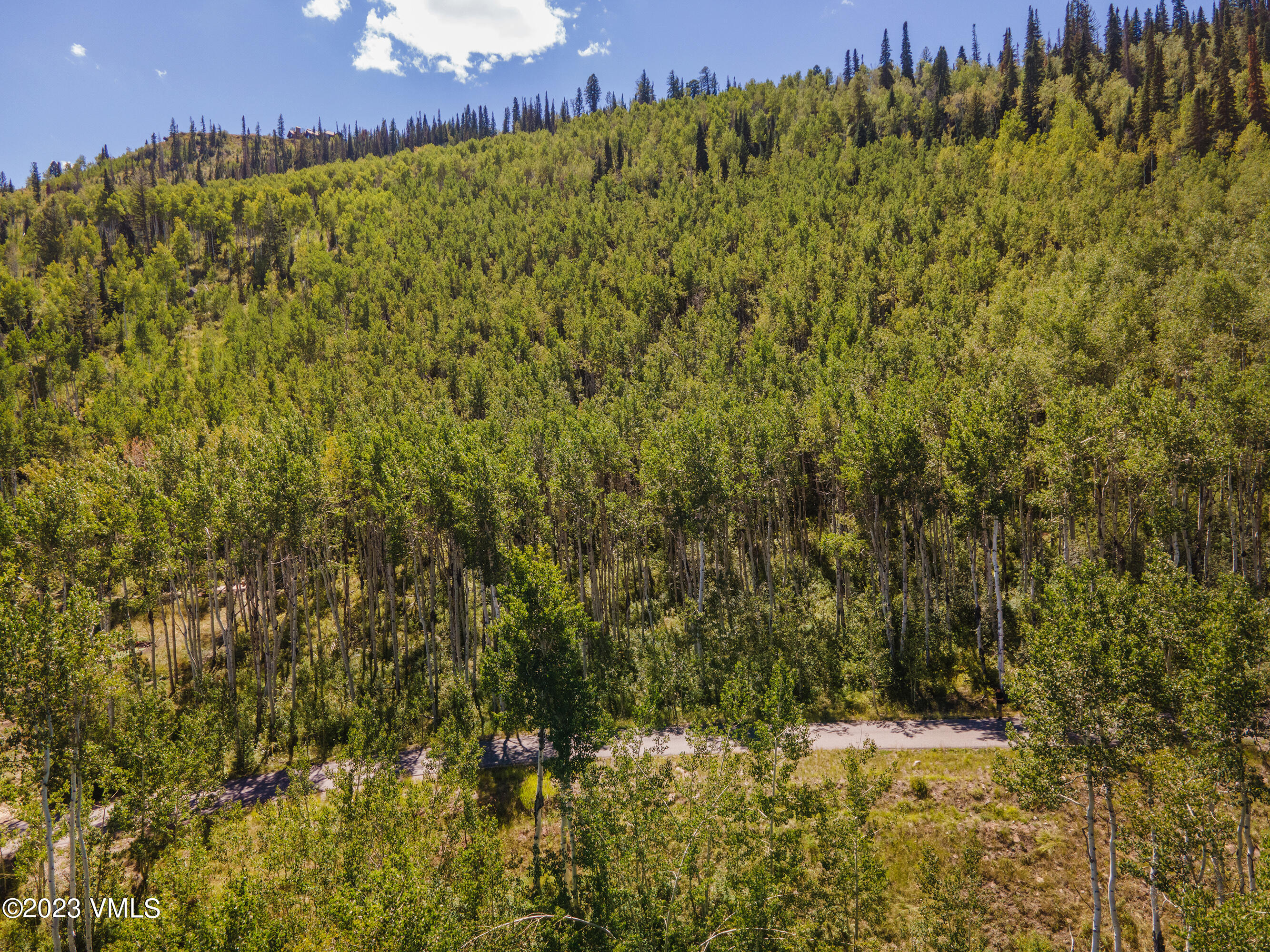 1121 Forest Trail Edwards, CO 81632 - Photo 3 of 13 a view of a bunch of trees