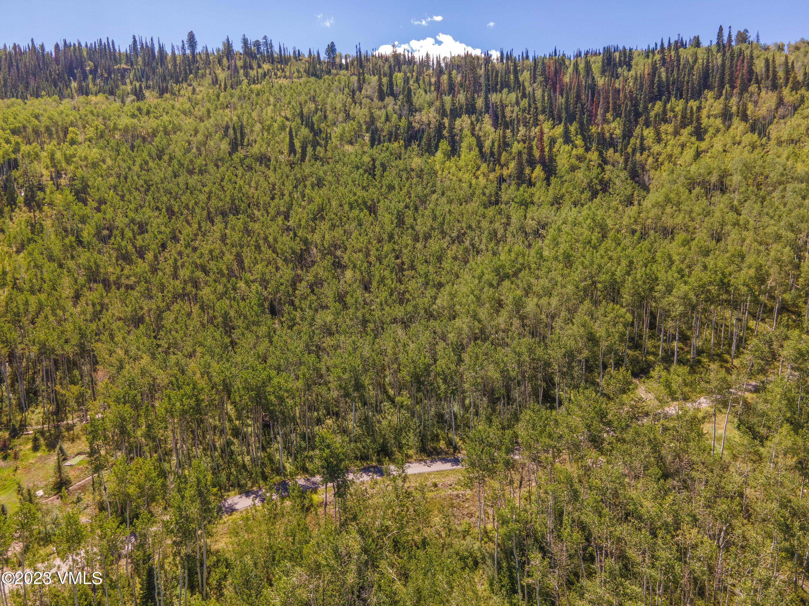 1121 Forest Trail Edwards, CO 81632 - Photo 9 of 13 a view of a city with lush green forest