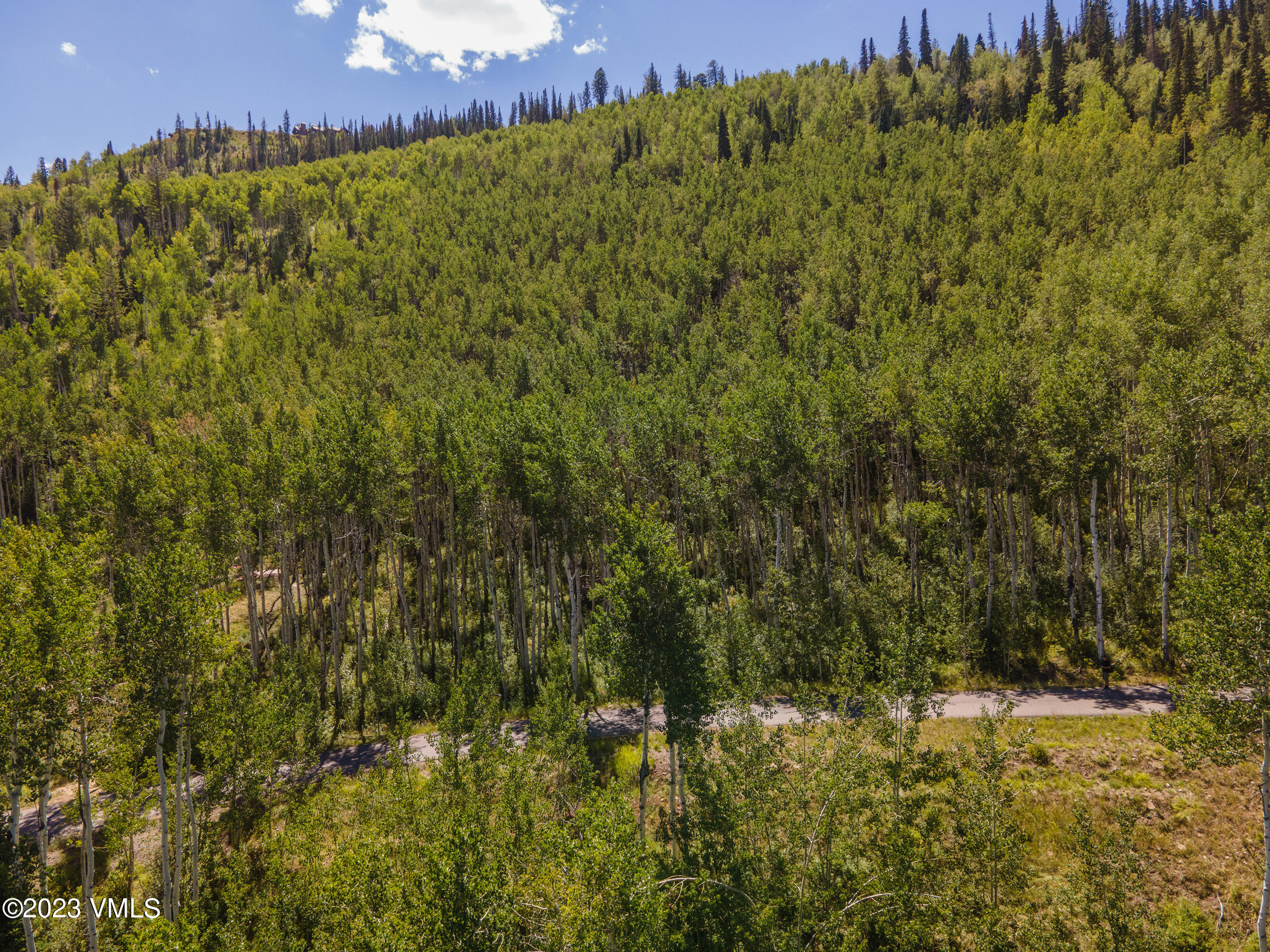1121 Forest Trail Edwards, CO 81632 - Photo 10 of 13 a view of a bunch of trees and bushes