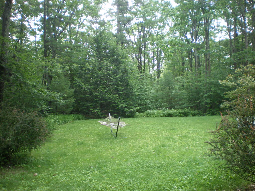 10 Norwalk Acres Road Monterey, MA 01245 - Photo 3 of 9 a view of a green field with a tree