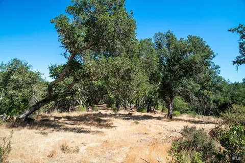 a view of road with covered with trees